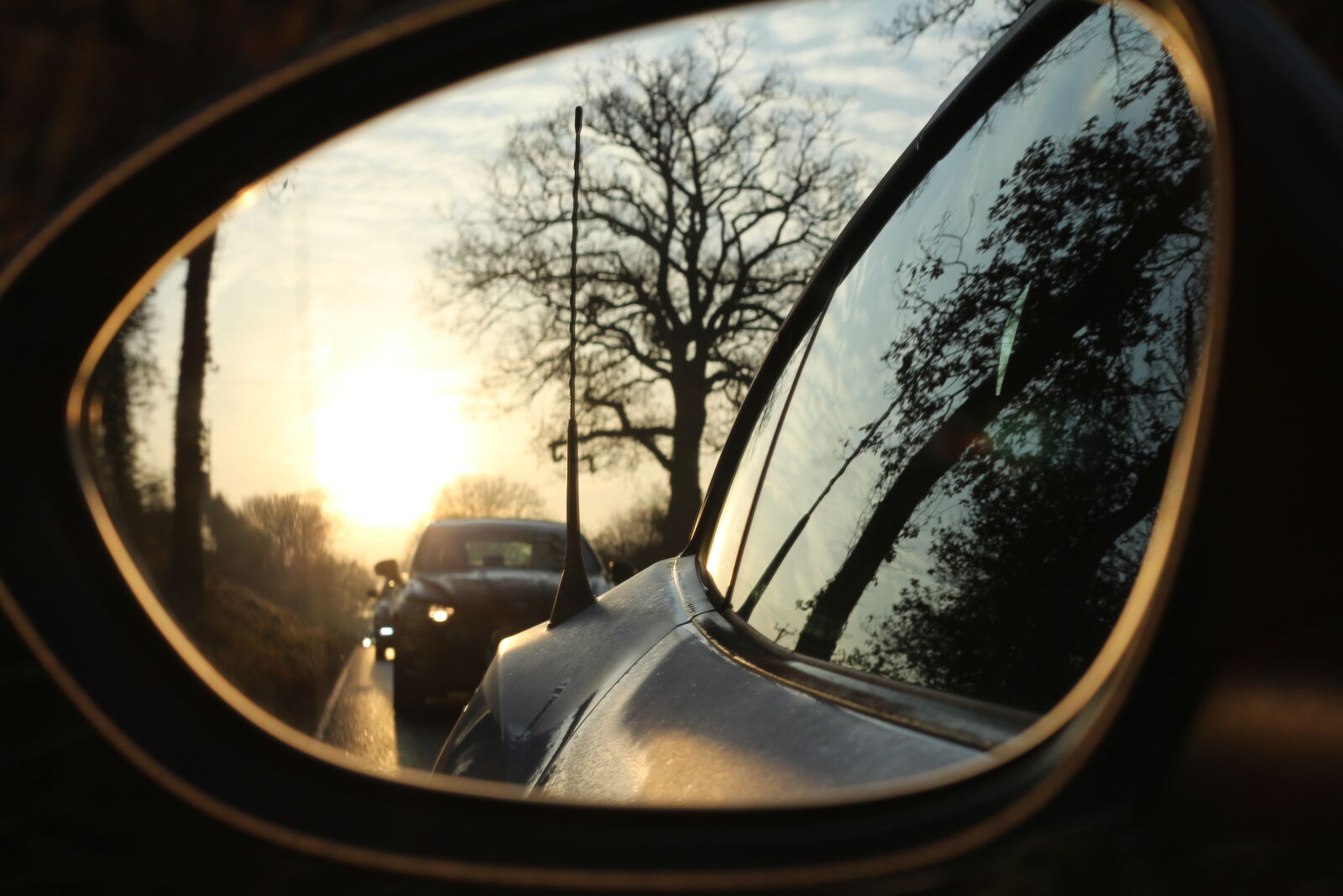 Canon EOS 650D (EOS Rebel T4i / EOS Kiss X6i) + Canon EF 50mm F1.8 STM sample photo. Car photography
