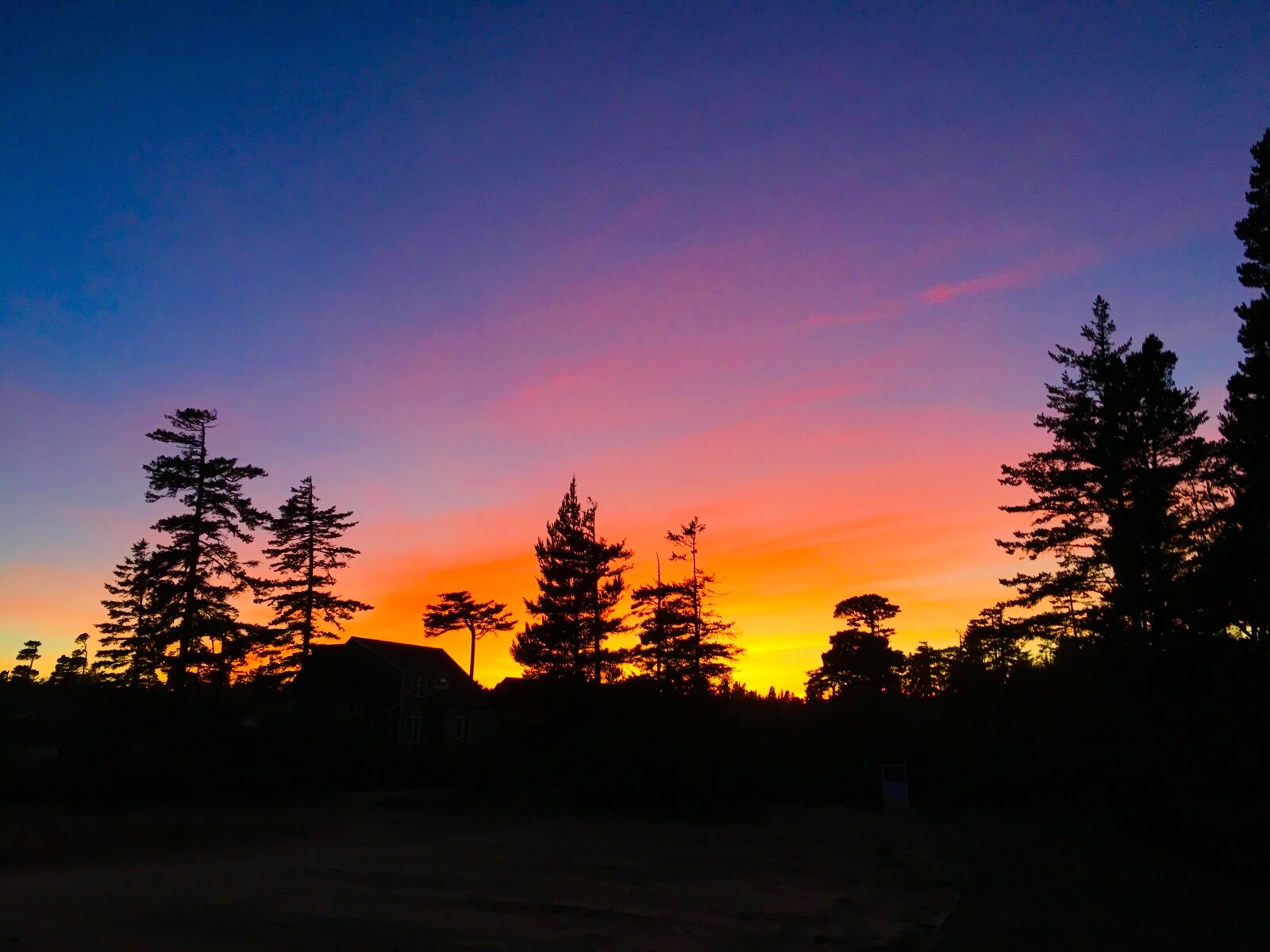 Apple iPhone 6s sample photo. Sunset, silhouette, trees photography