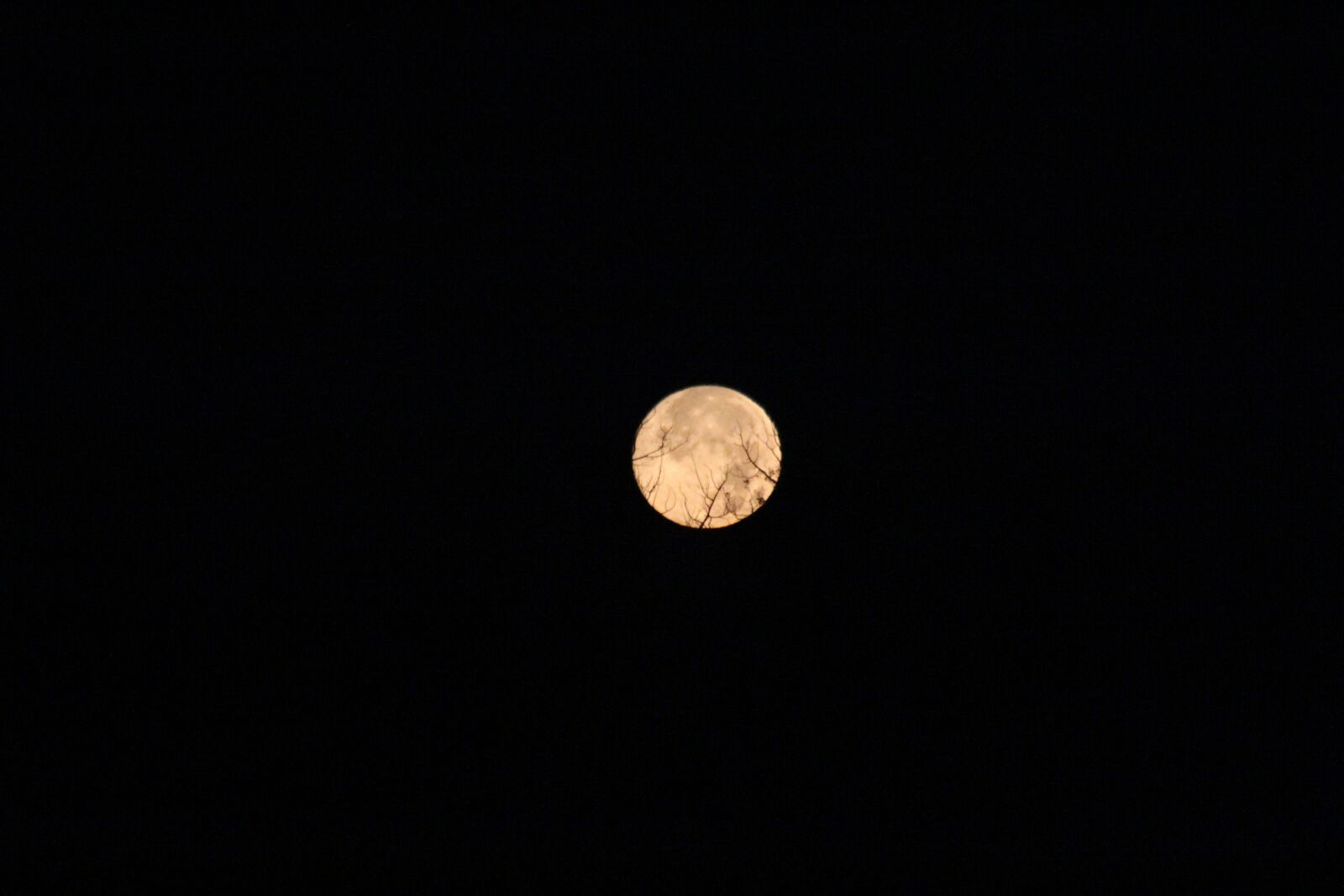 Canon EOS 60D sample photo. Moon, night, sky photography