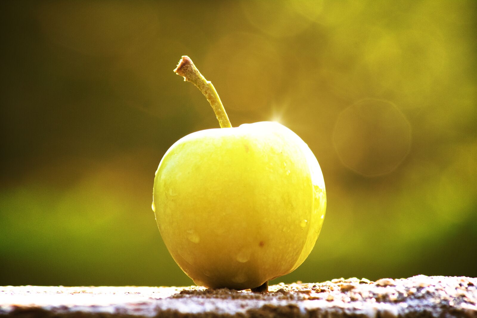 Canon EOS 750D (EOS Rebel T6i / EOS Kiss X8i) sample photo. Apple, fruit, fresh photography