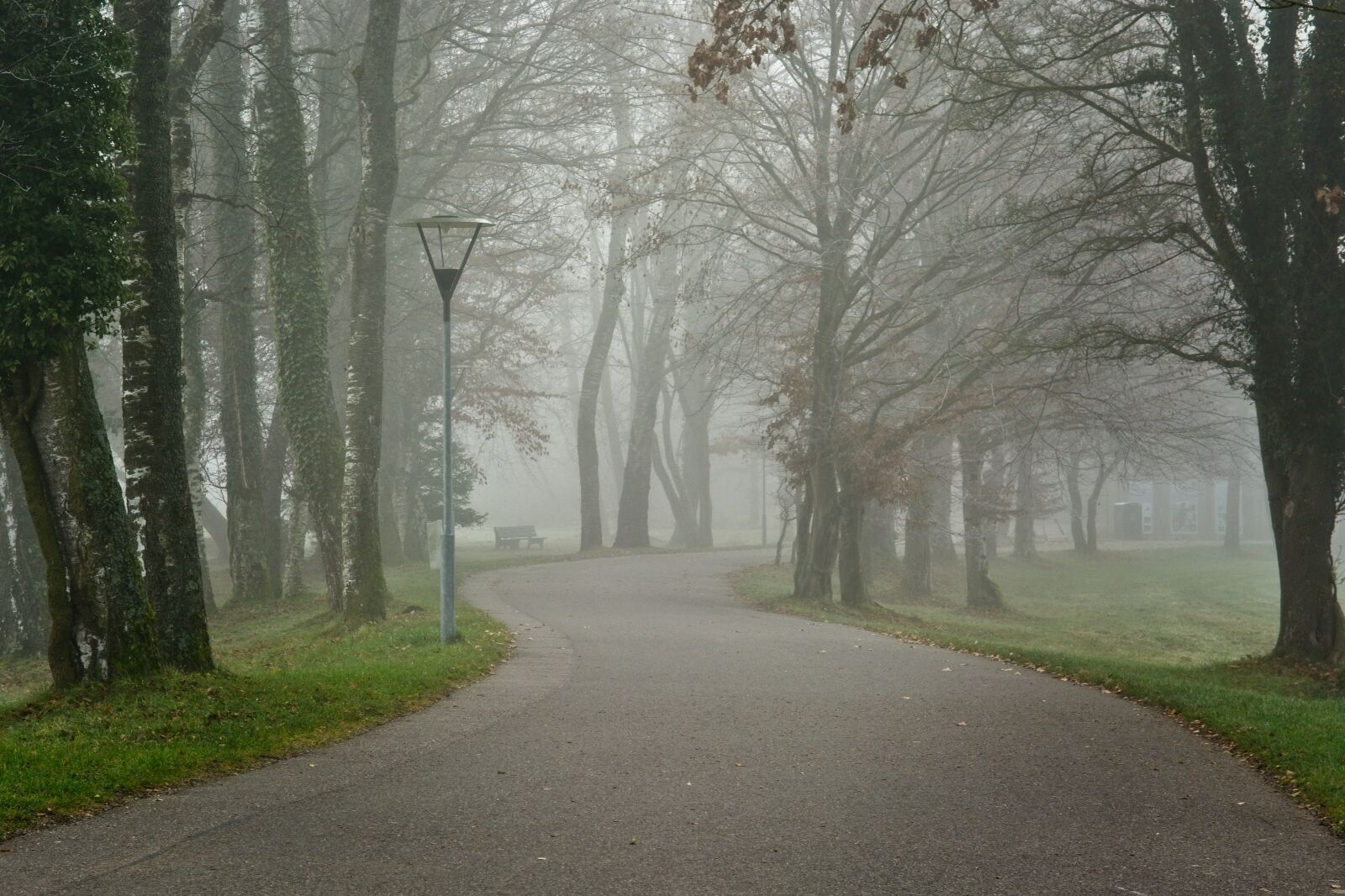 Nikon D7100 sample photo. Fog, foggy, road photography