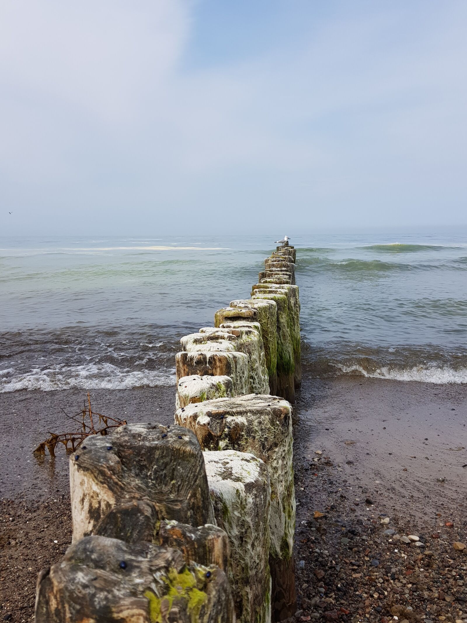 Samsung Galaxy S8 sample photo. Baltic sea, sea, ocean photography
