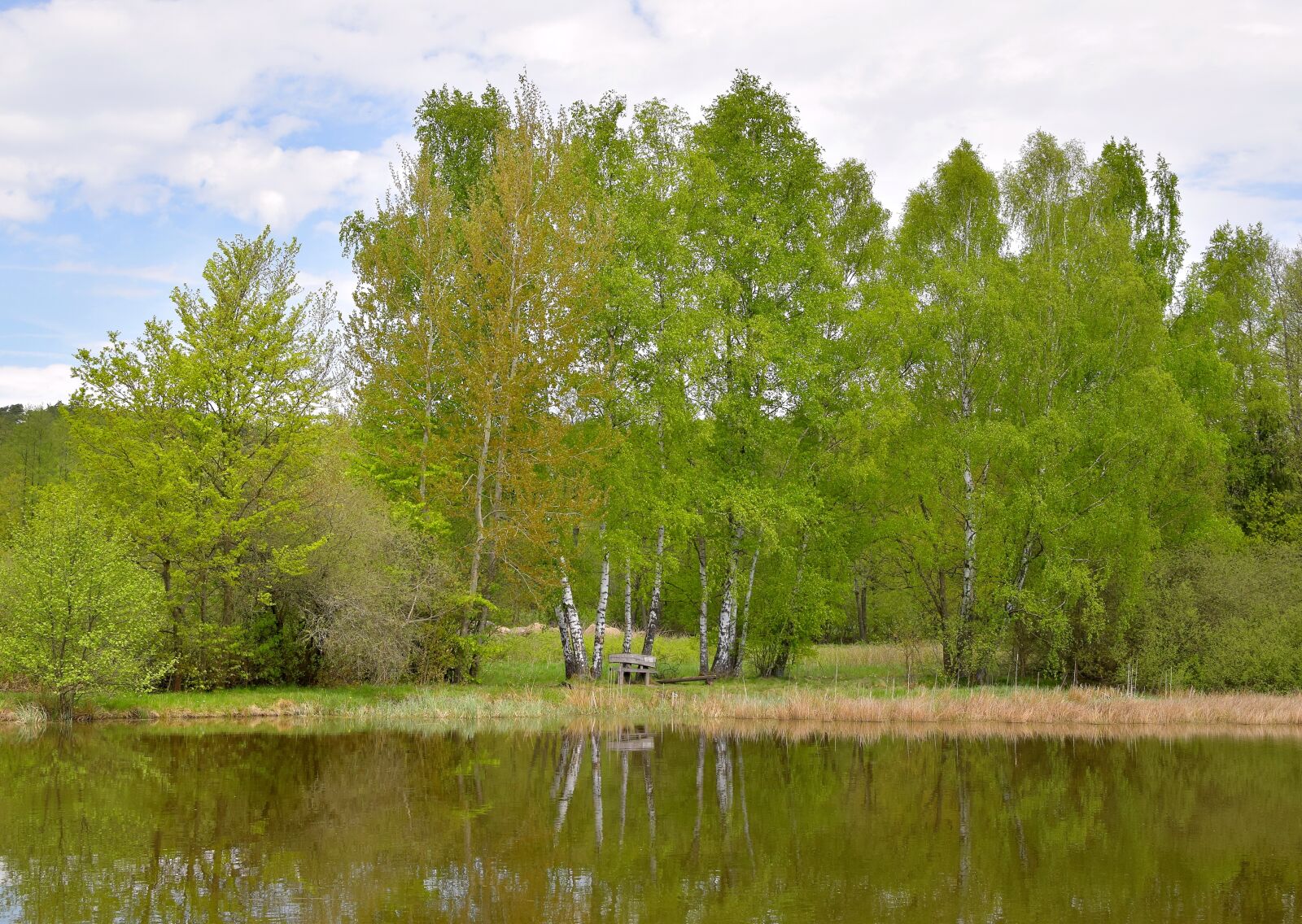 Nikon D5300 sample photo. Landscape, pond, bank photography