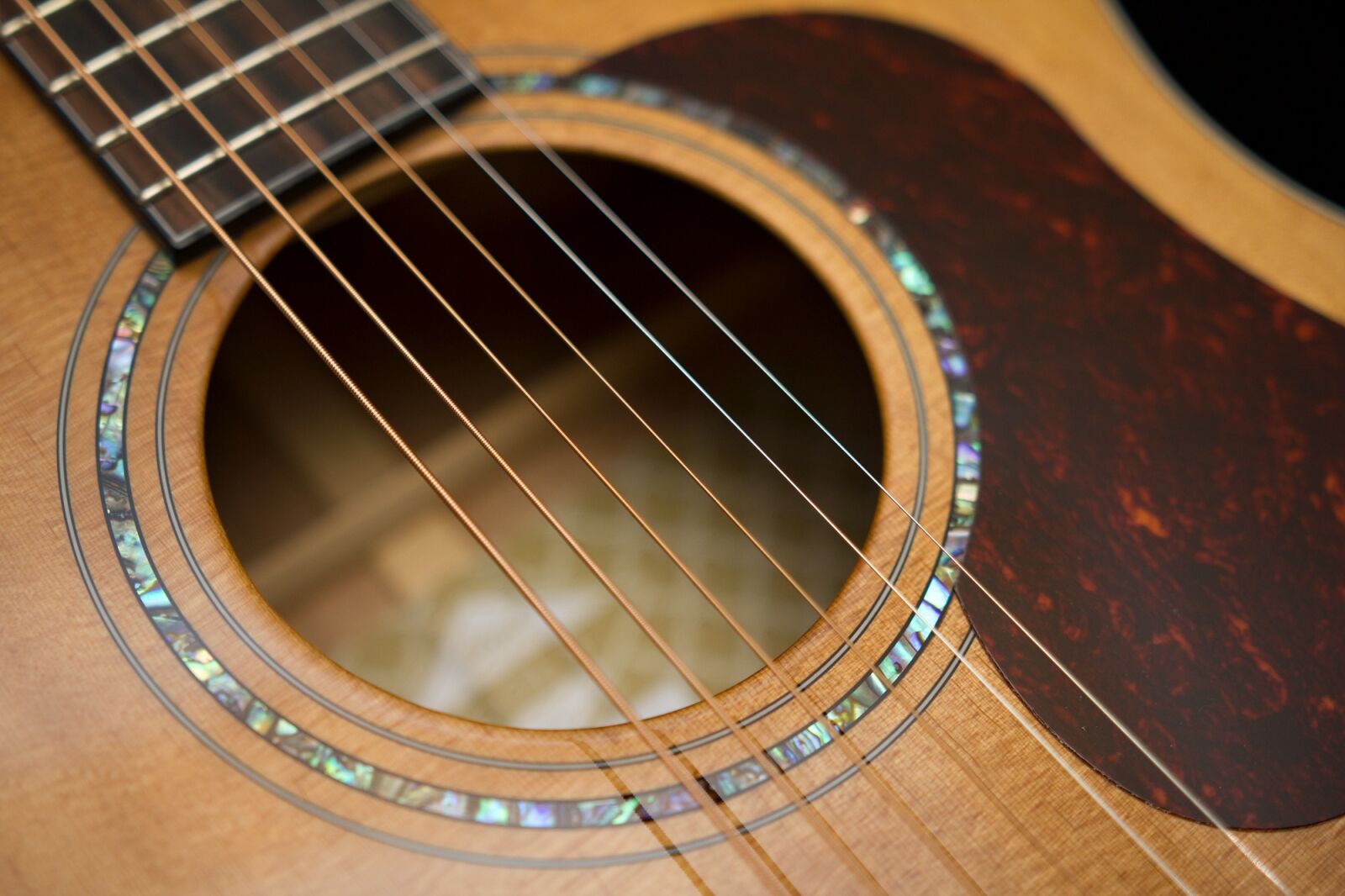 Canon EOS 550D (EOS Rebel T2i / EOS Kiss X4) sample photo. Etc, music, sound photography