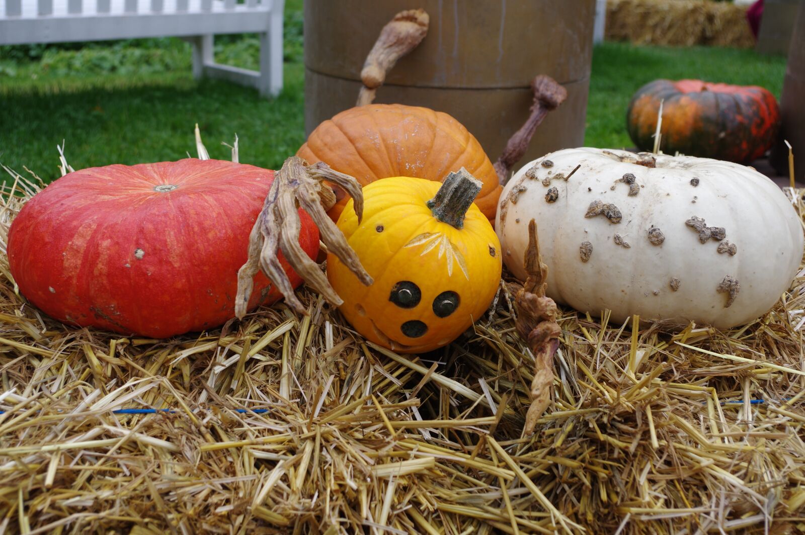 Pentax K-3 sample photo. Pumpkin, halloween, autumn photography