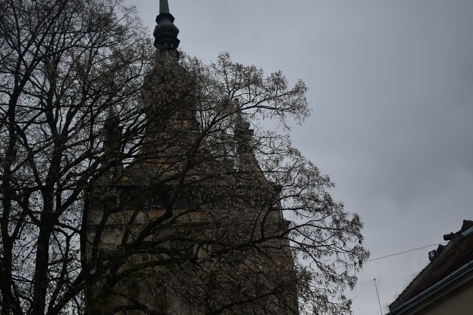 Nikon D5300 sample photo
