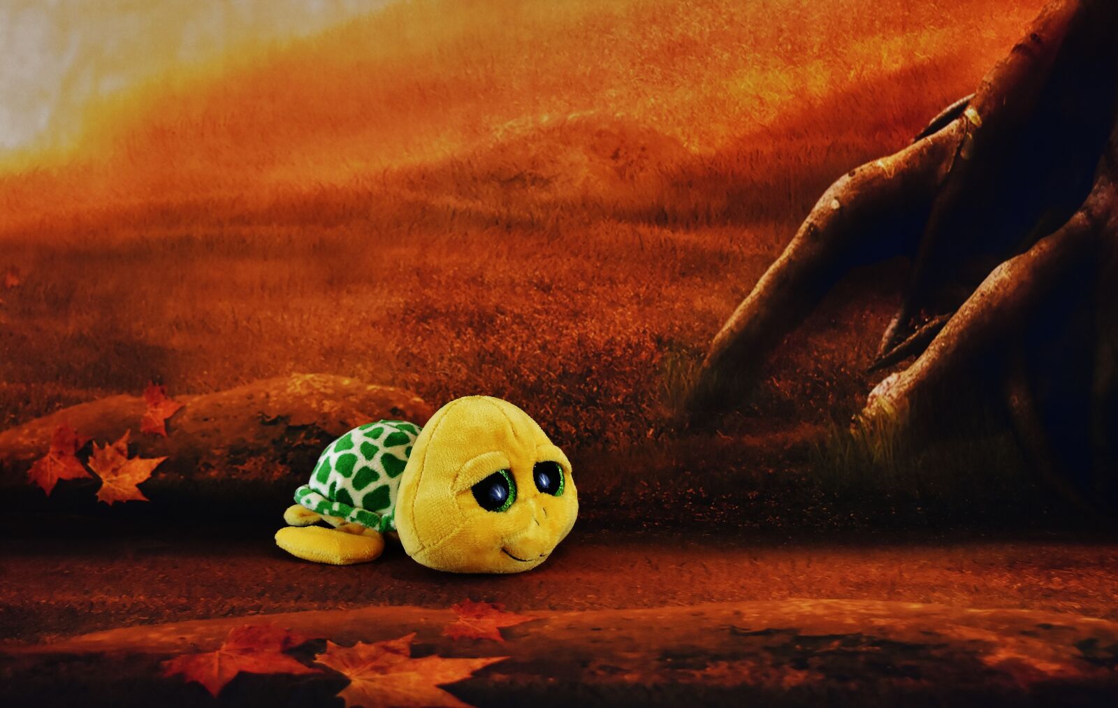 Nikon D7200 sample photo. Turtle, glitter eyes, forest photography