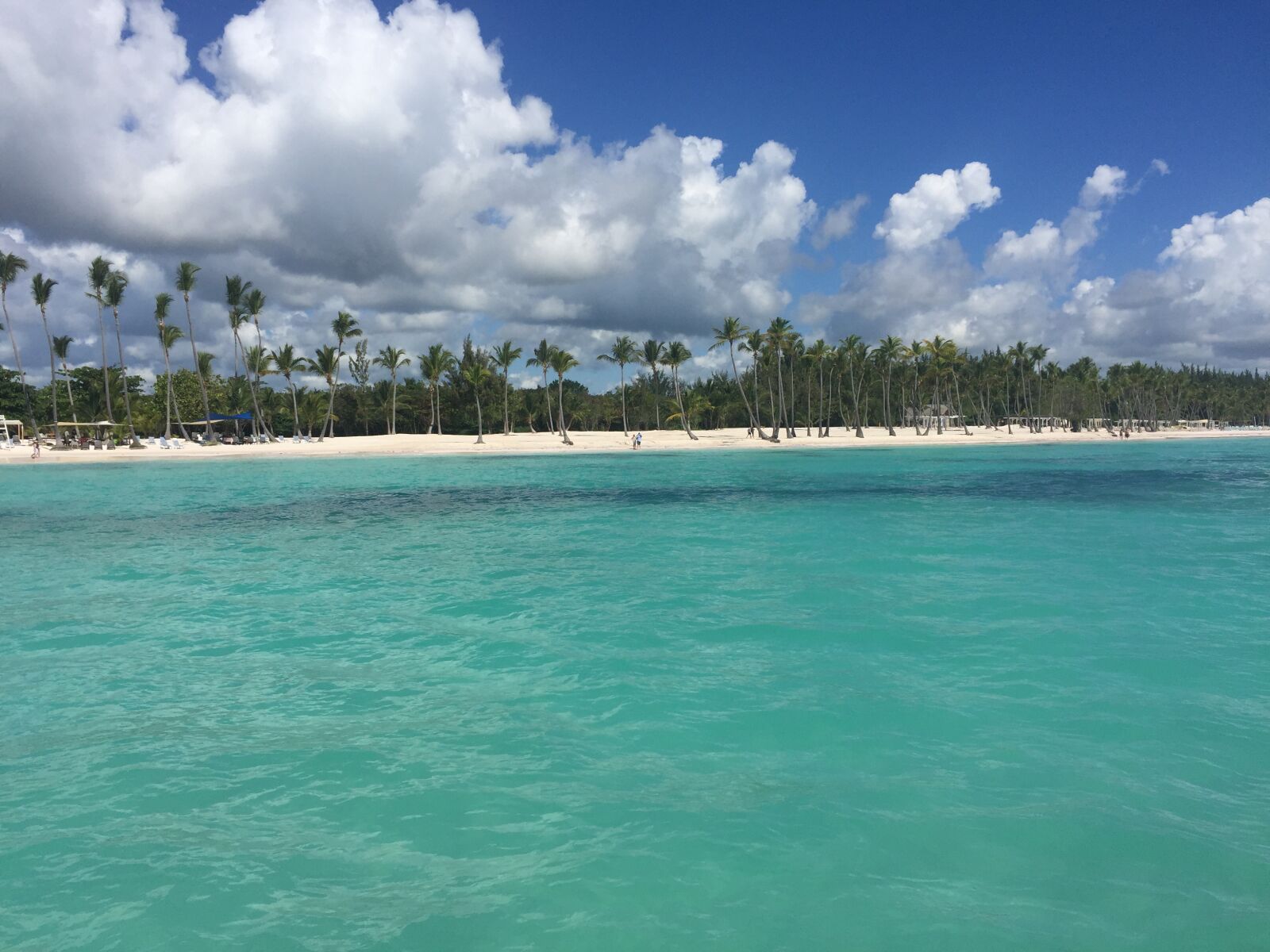 iPhone 6 back camera 4.15mm f/2.2 sample photo. Punta cana, juanillovip, caribbean photography