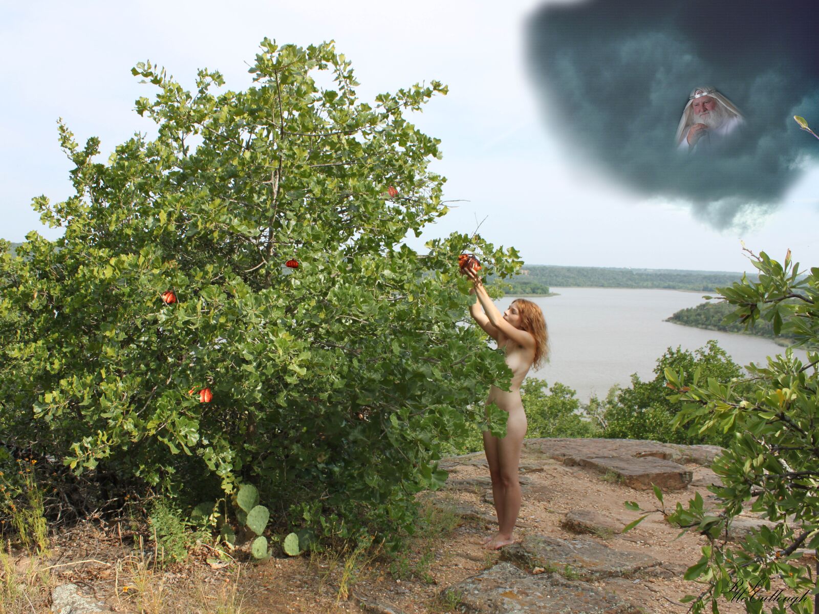 Canon EOS 500D (EOS Rebel T1i / EOS Kiss X3) sample photo. Garden of eden, eve photography