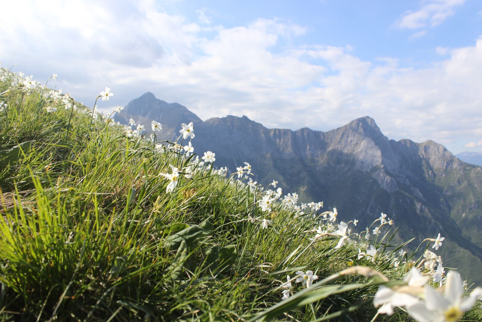 Canon EOS 600D (Rebel EOS T3i / EOS Kiss X5) sample photo. Mountains, flowers, panorama photography