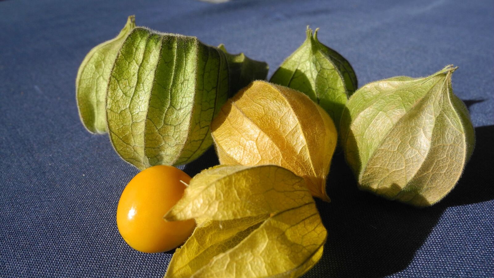 Nikon Coolpix P7100 sample photo. Physalis, cape gooseberry, fruit photography