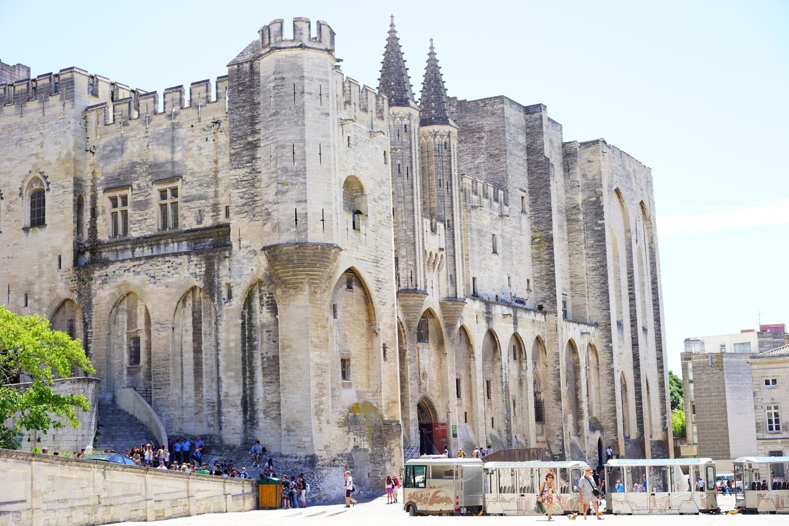 Sony a7 + Sony Sonnar T* FE 55mm F1.8 ZA sample photo. Palais des papes, tourism photography