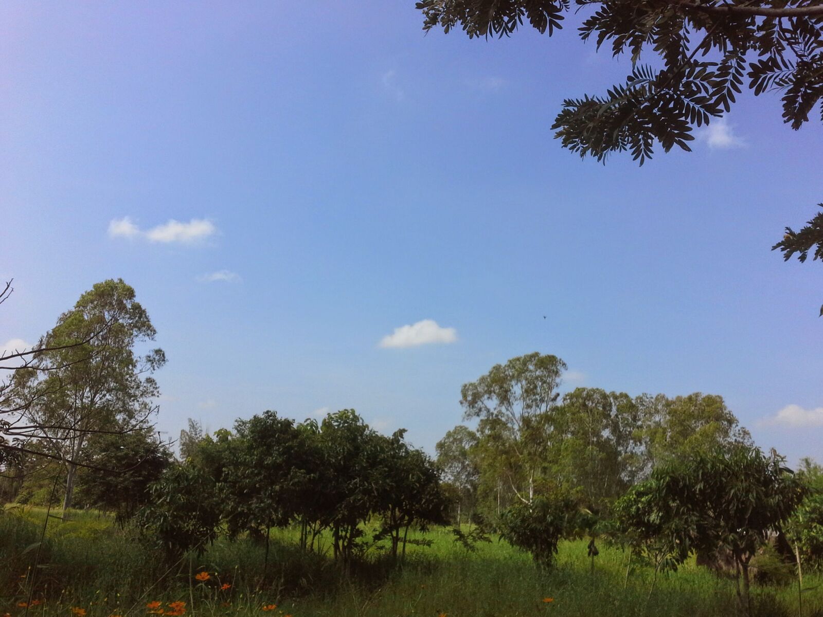 Samsung Galaxy Note 10.1 sample photo