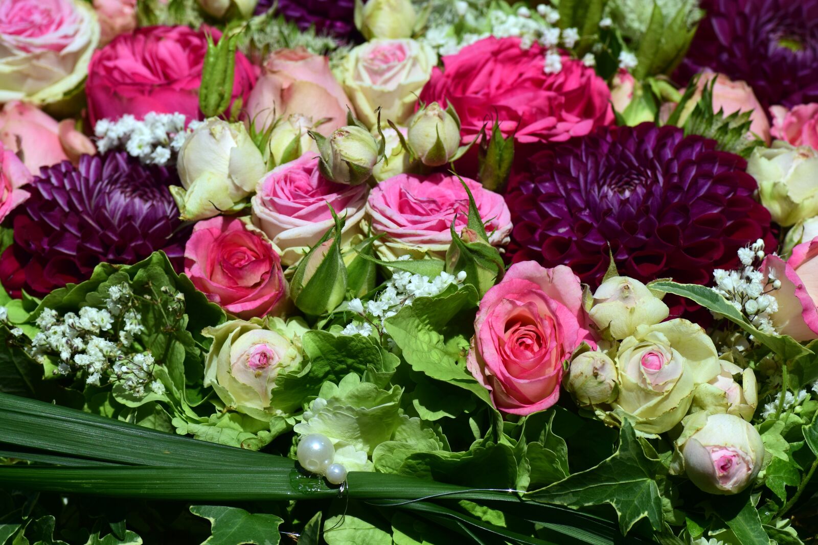 Nikon D3300 sample photo. Flowers, roses, love photography