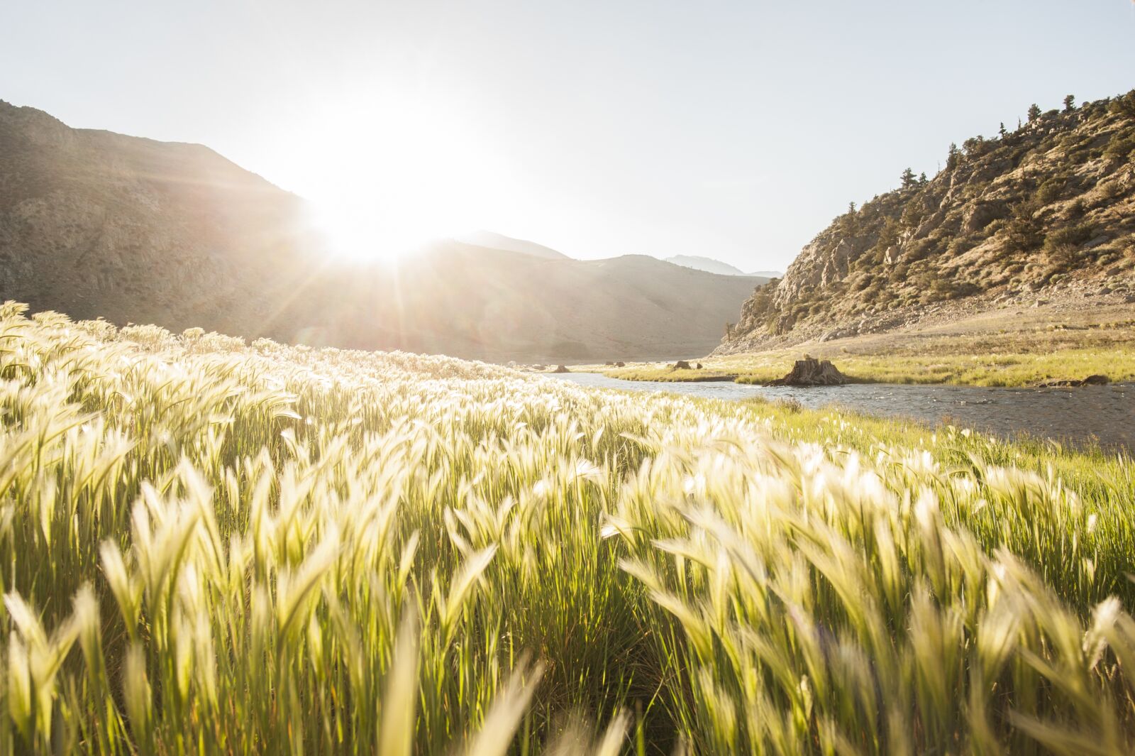 Nikon D700 sample photo. Outdoors, nature, landscape photography