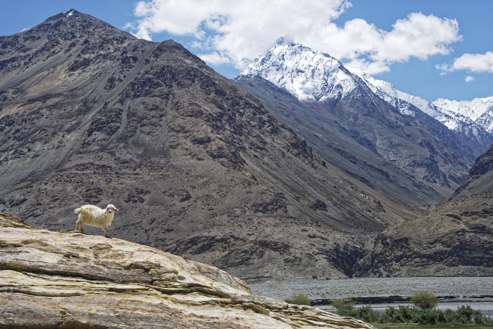 Nikon D500 sample photo. Tajikistan, province of mountain-badakhshan photography