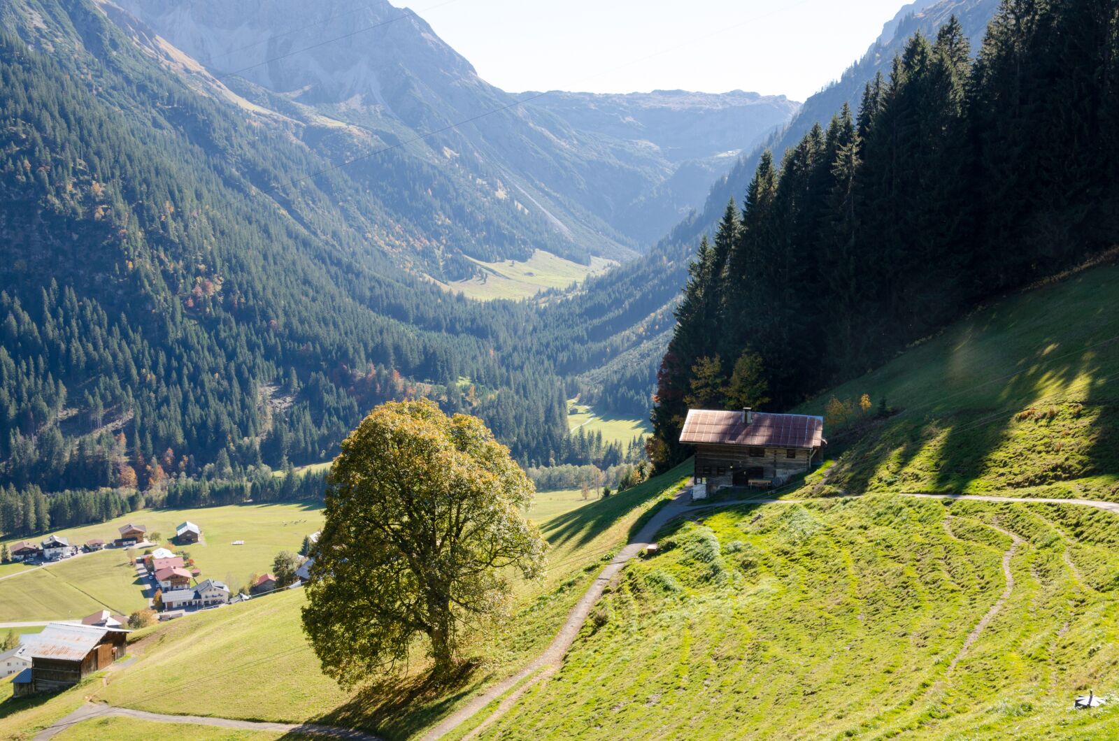 Nikon D5100 sample photo. Mittelberg, austria, trail photography
