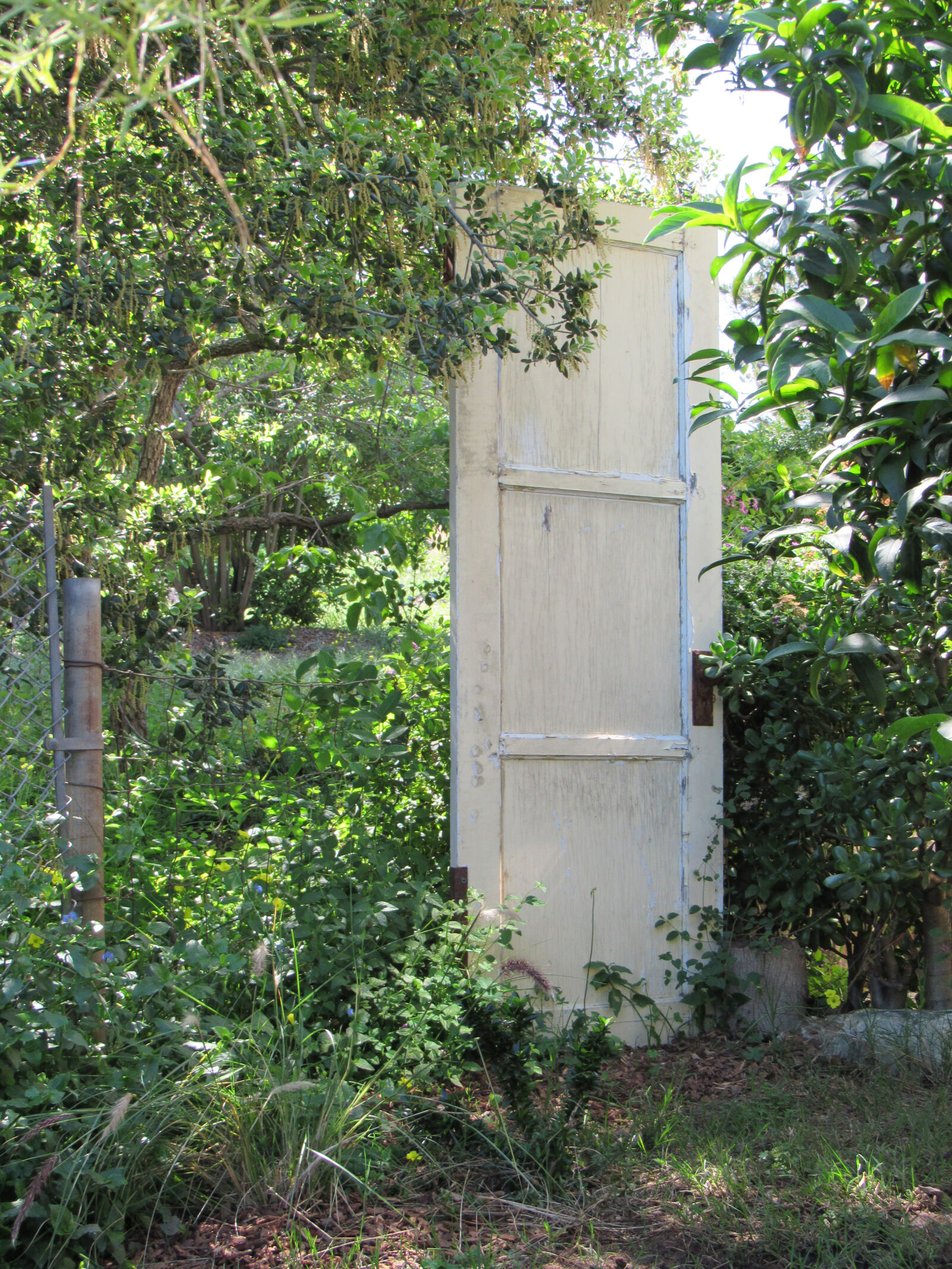 Canon PowerShot SX530 HS sample photo. Door, garden, wood, wood photography