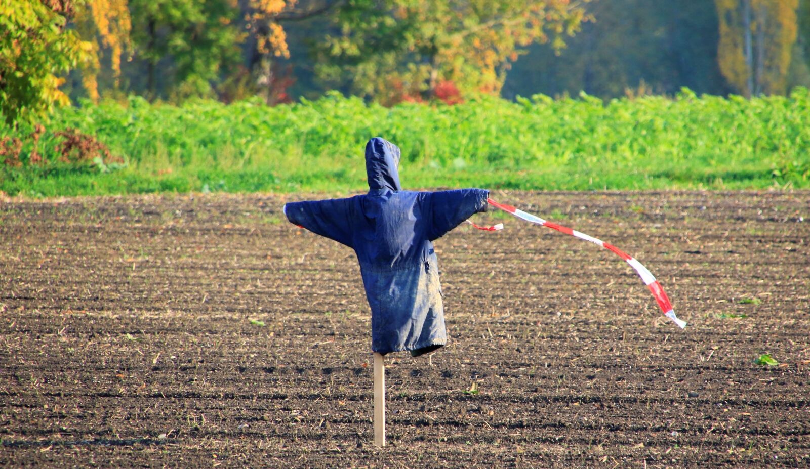 Canon EOS 7D Mark II sample photo. Scarecrow, arable, field photography