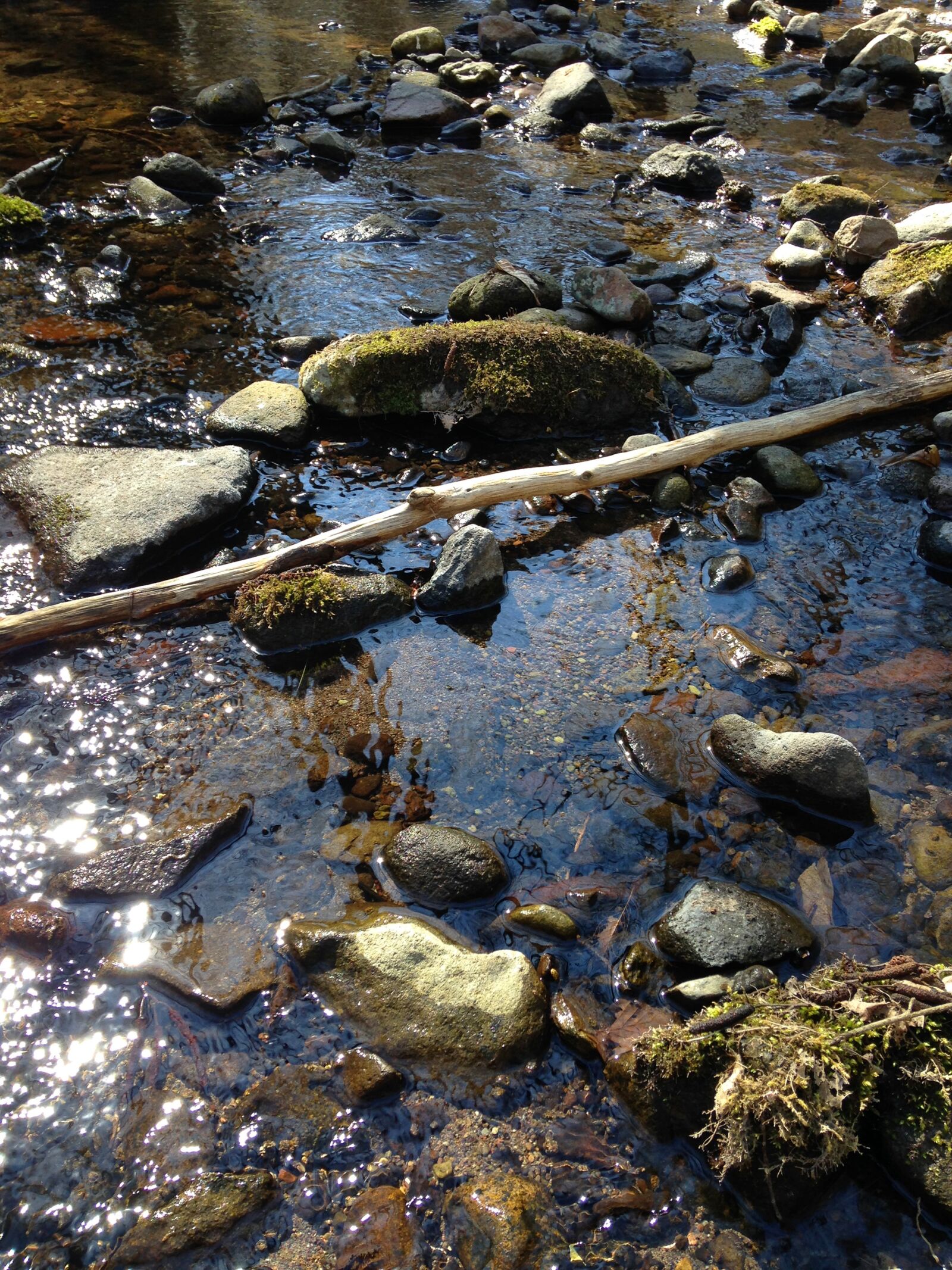 iPhone 5c back camera 4.12mm f/2.4 sample photo. Nature, photo, water photography