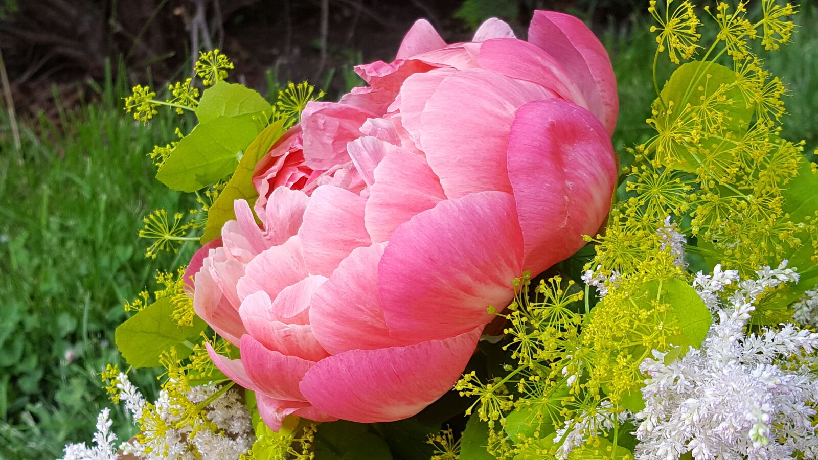 Samsung Galaxy S6 sample photo. Peony, decorative flower, bouquet photography