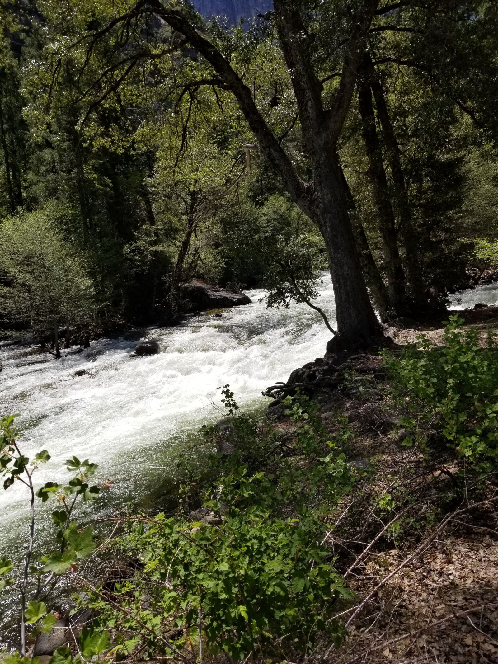 Samsung Galaxy S8+ sample photo. Yosemite, rushing river, nature photography