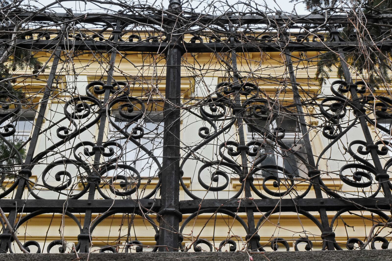 Nikon D5500 sample photo. Steel, old, iron, fence photography