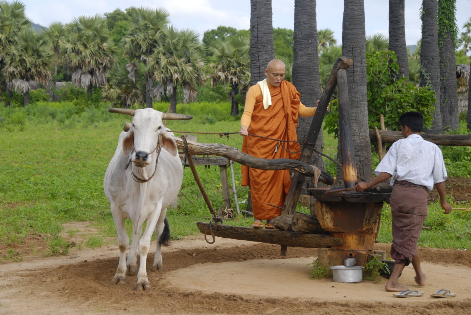 Nikon D80 sample photo. Myanmar, burma, asia photography