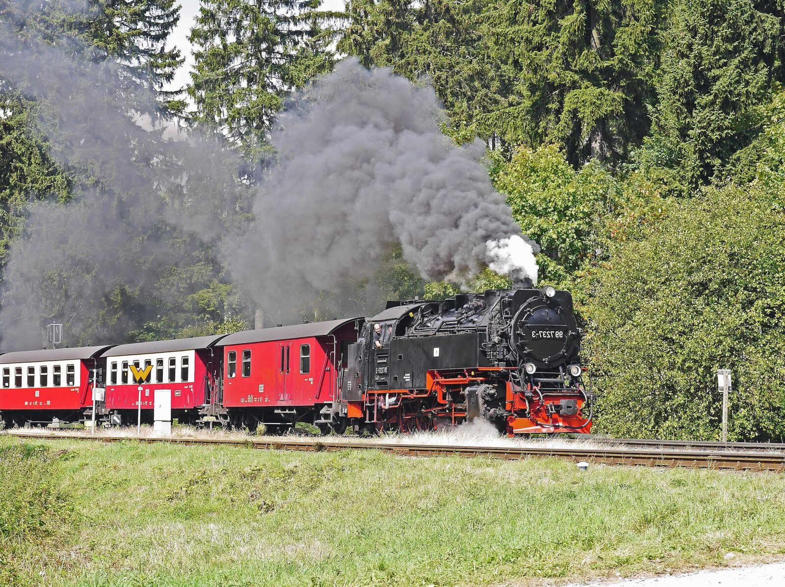 Panasonic Lumix DMC-GH3 sample photo. Locomotive, train, vehicle, smoke photography