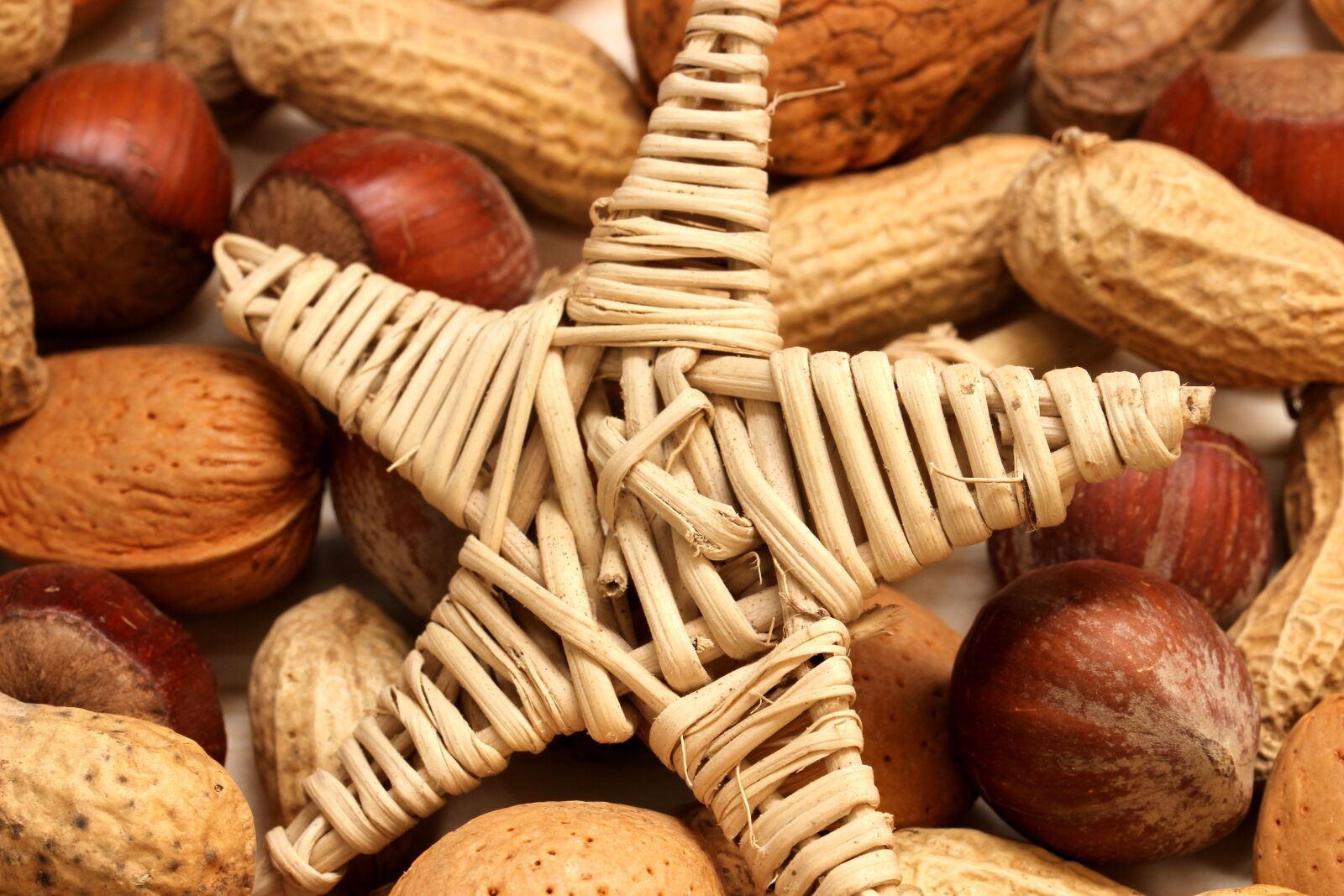 Canon EOS 600D (Rebel EOS T3i / EOS Kiss X5) + Canon TAMRON SP 90mm F/2.8 Di VC USD MACRO1:1 F004 sample photo. Nuts, christmas, advent photography