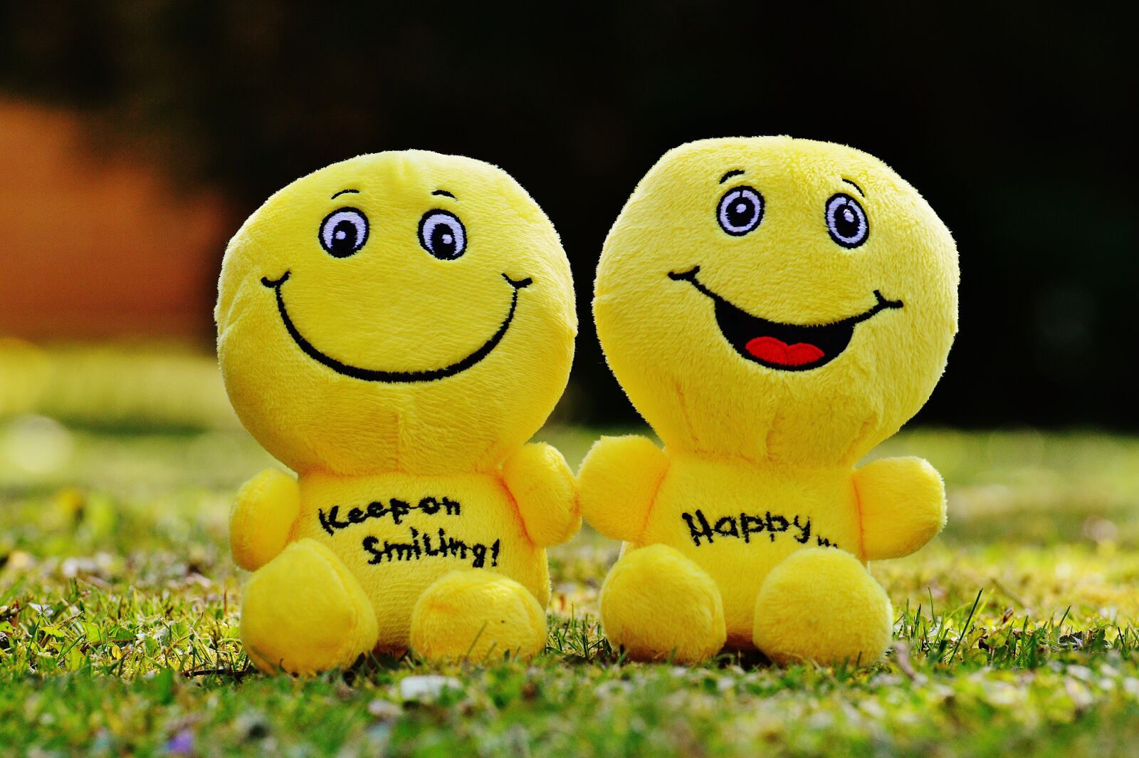 Nikon D3200 sample photo. Smiley, laugh, funny photography