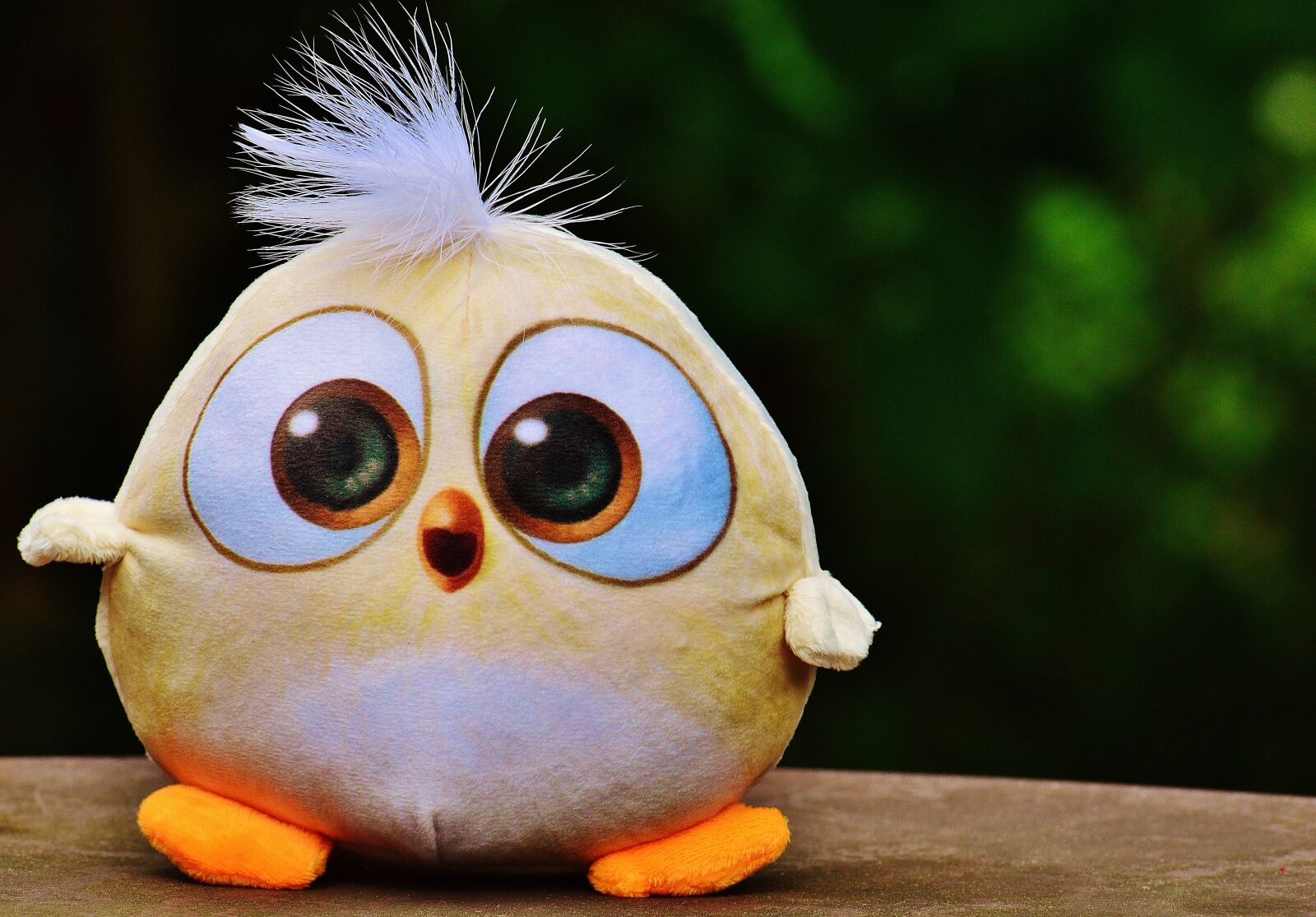 Nikon D3200 sample photo. Bird, birdie, plush photography