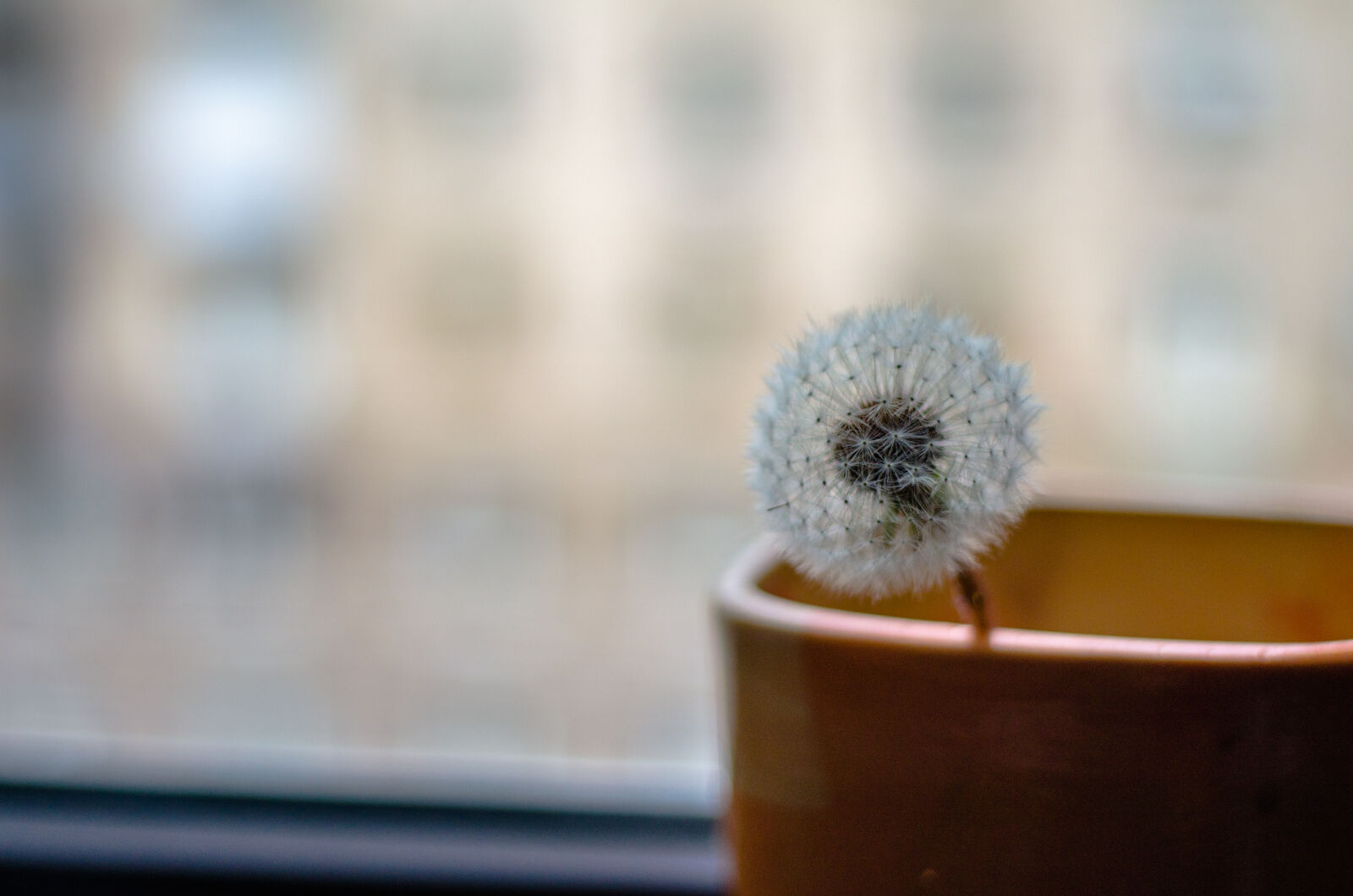 Yongnuo YN50mm F1.8N sample photo. Blur, close, up, container photography