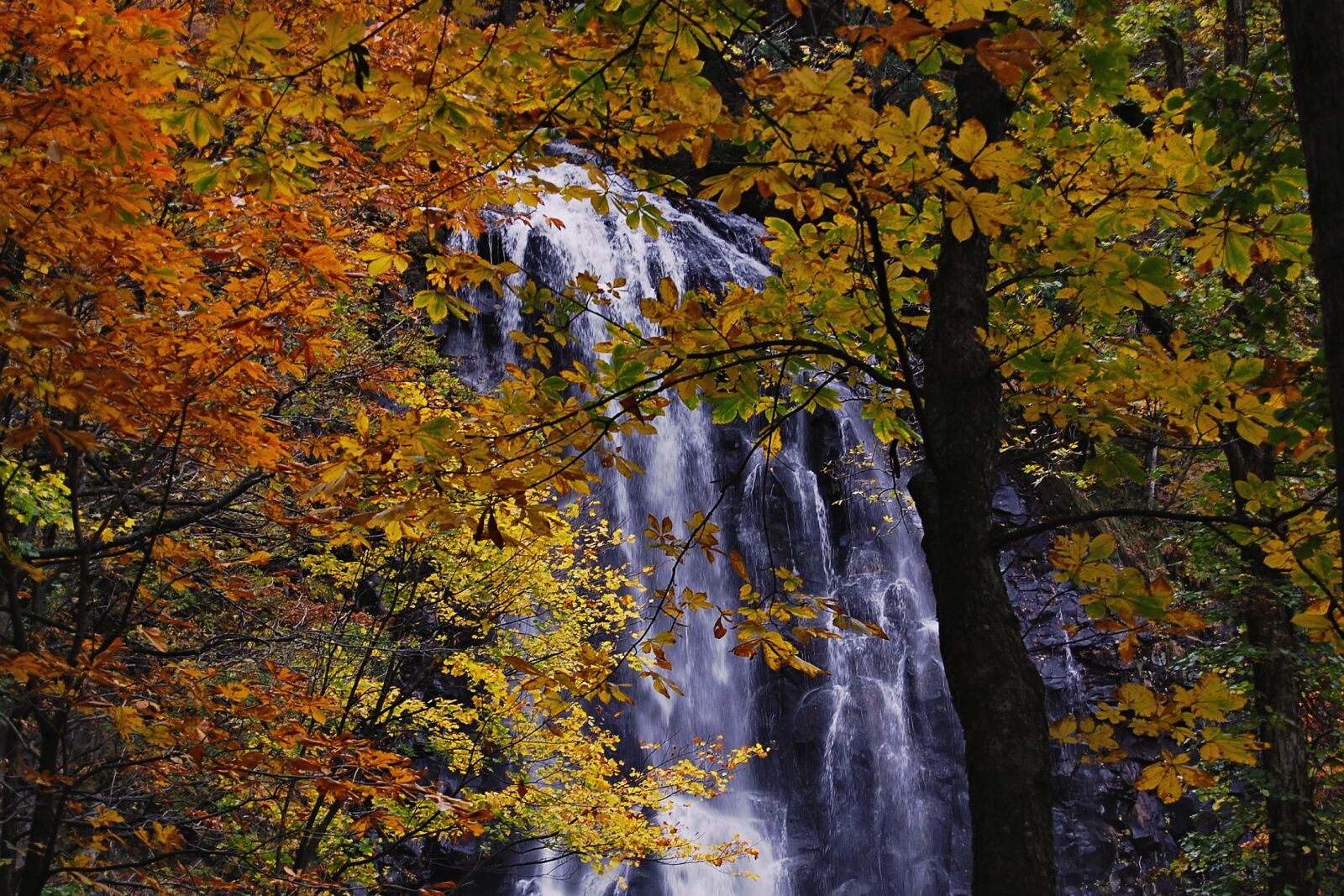 Nikon D40 sample photo. Japan, natural, landscape photography
