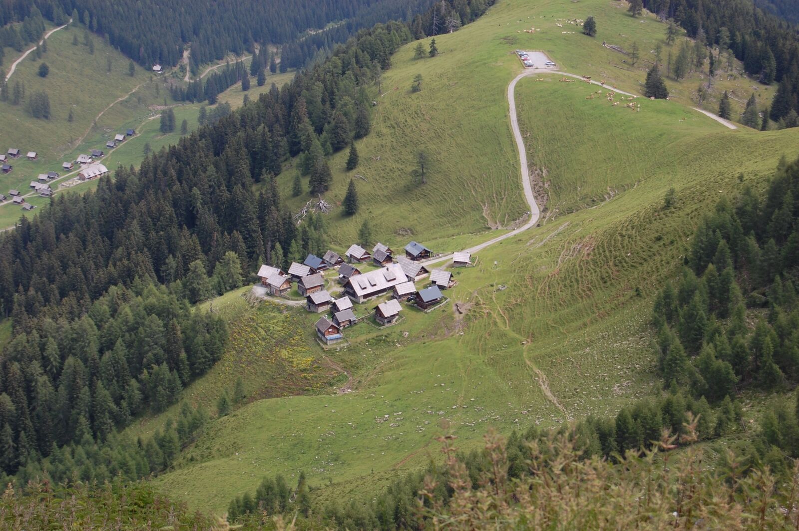 Nikon D40 sample photo. Alm, cottages, austria photography