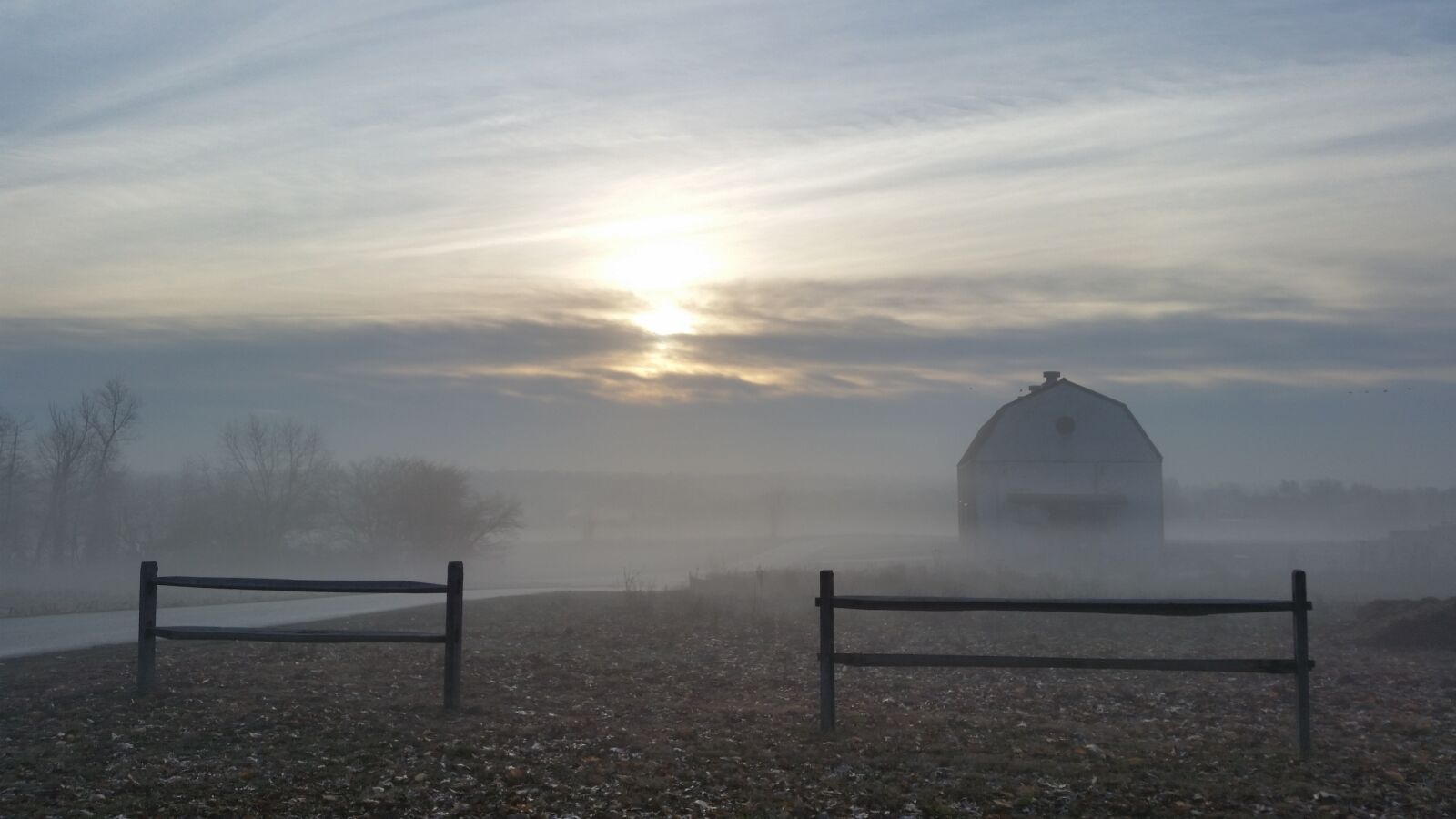 Samsung Galaxy S5 sample photo. Morning set, cold, foggy photography