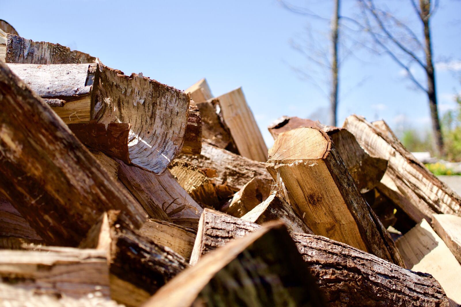 Sony a6300 + Sigma 30mm F2.8 EX DN sample photo. Wood, firewood, warm photography