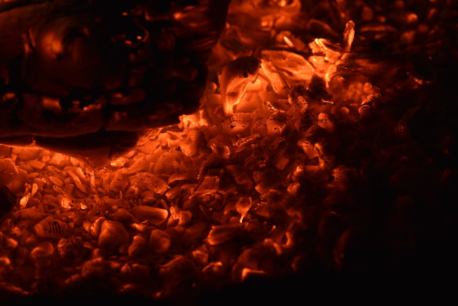 Nikon D750 sample photo. Fire, flame, hot photography