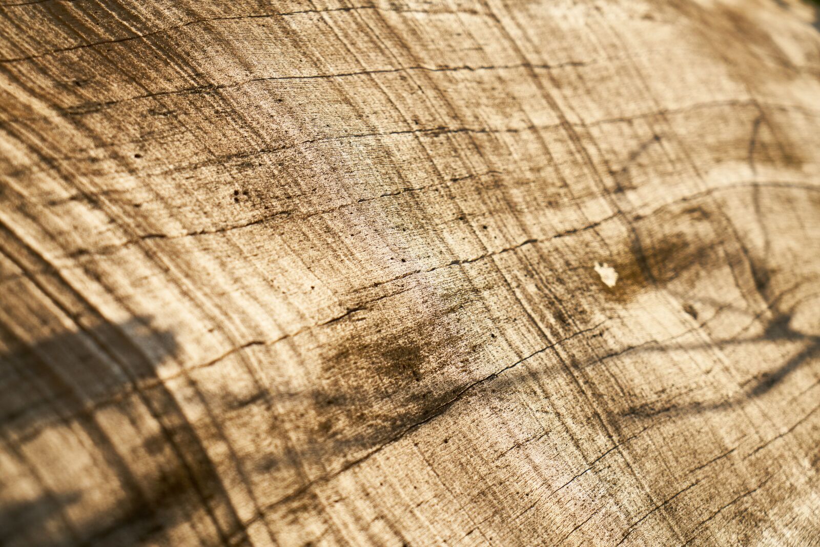 Sony a7R II sample photo. Wood, wood-fibre boards, timber photography