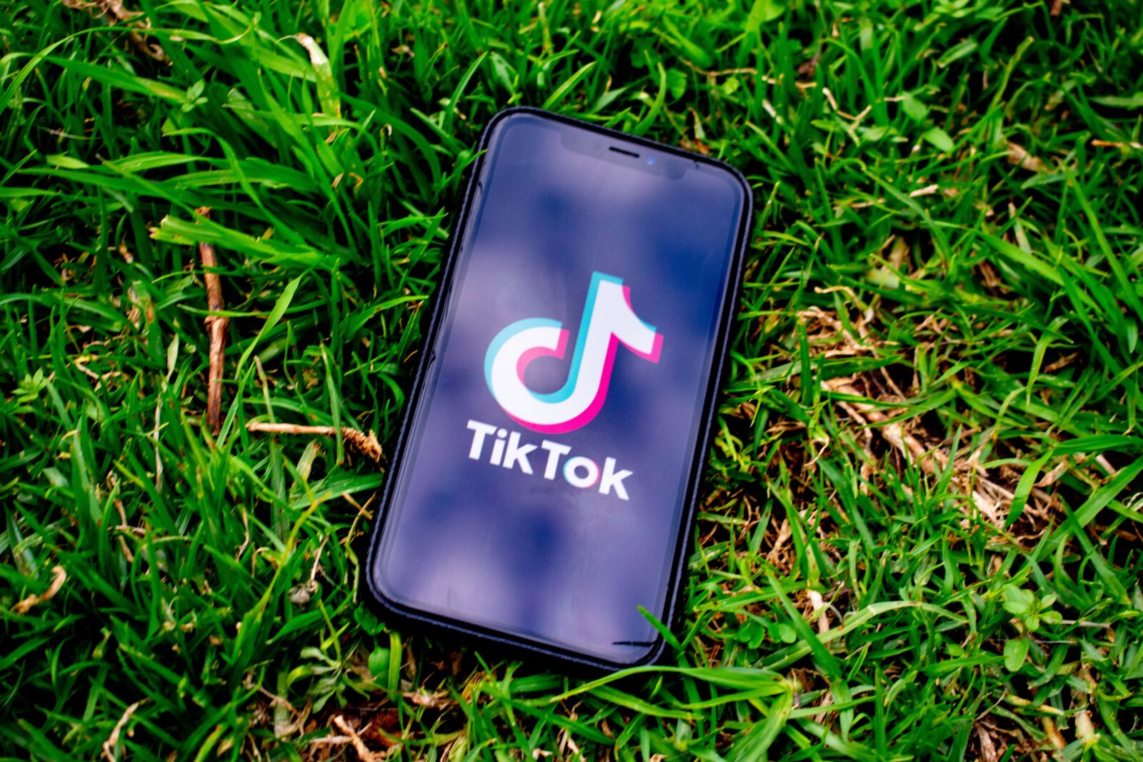 Nikon D3400 sample photo. Tiktok, social media, app photography