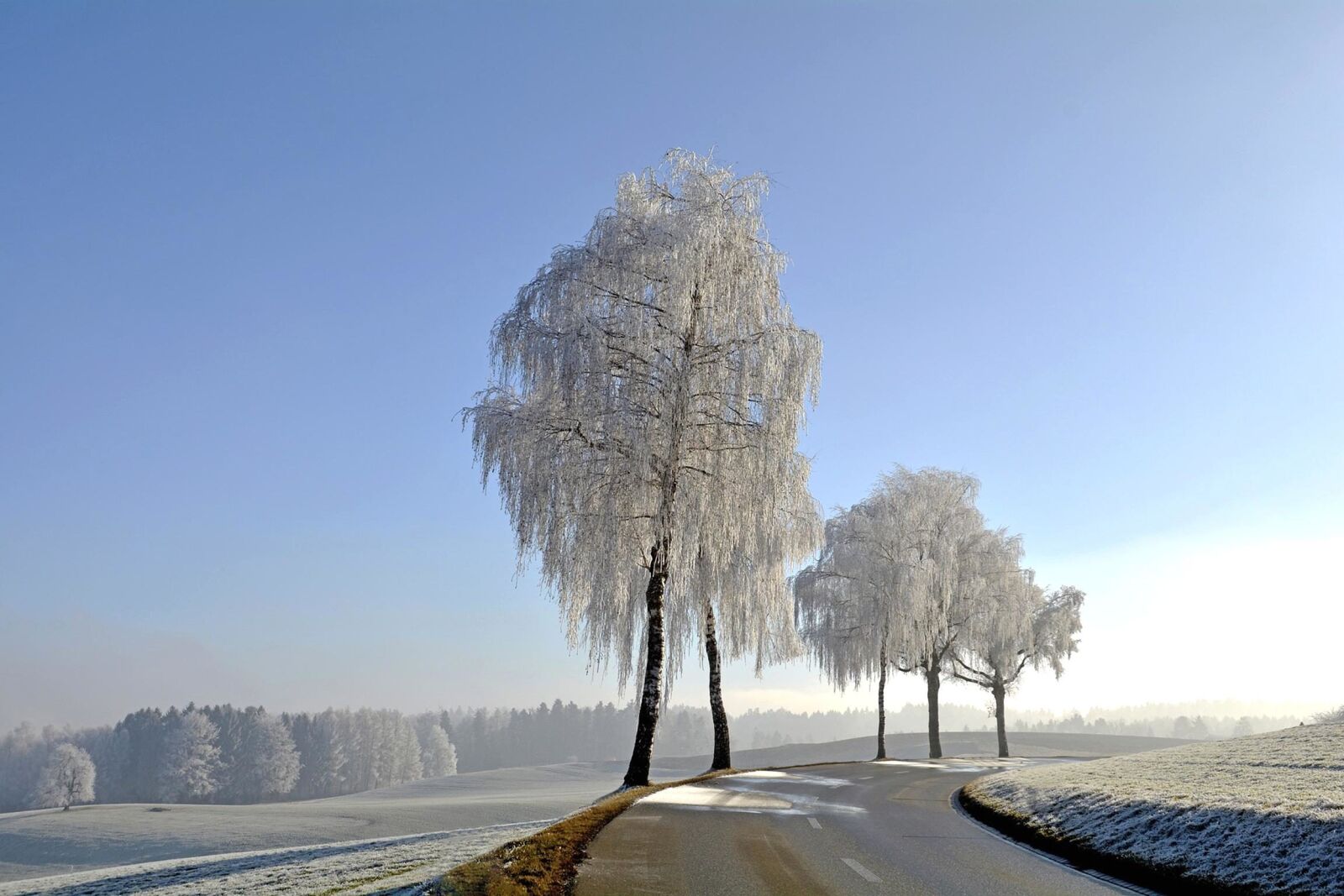 Nikon D7100 sample photo. Nature, sky, landscape, road photography
