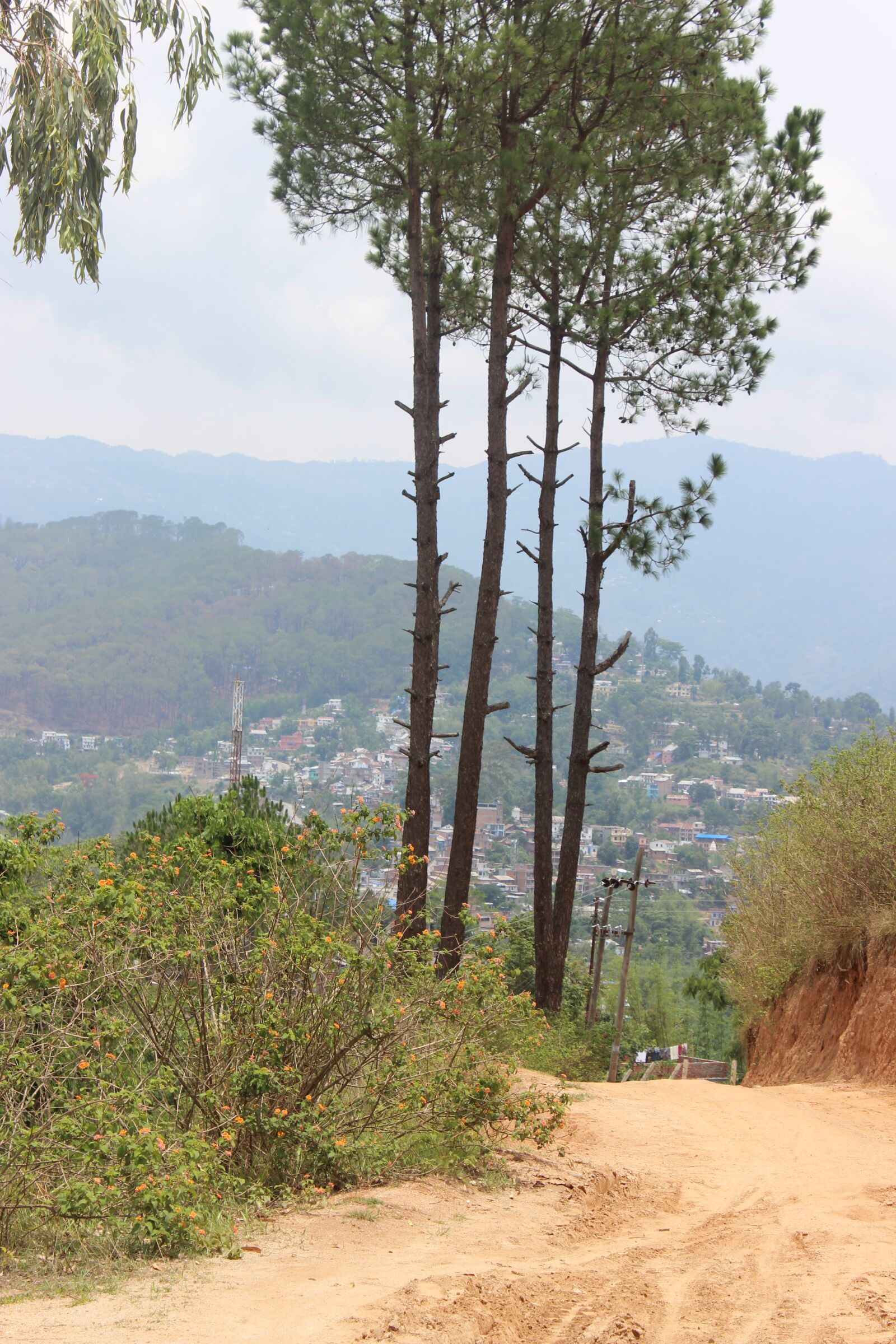 Canon EOS 600D (Rebel EOS T3i / EOS Kiss X5) sample photo. Trees, mountain, nepal photography