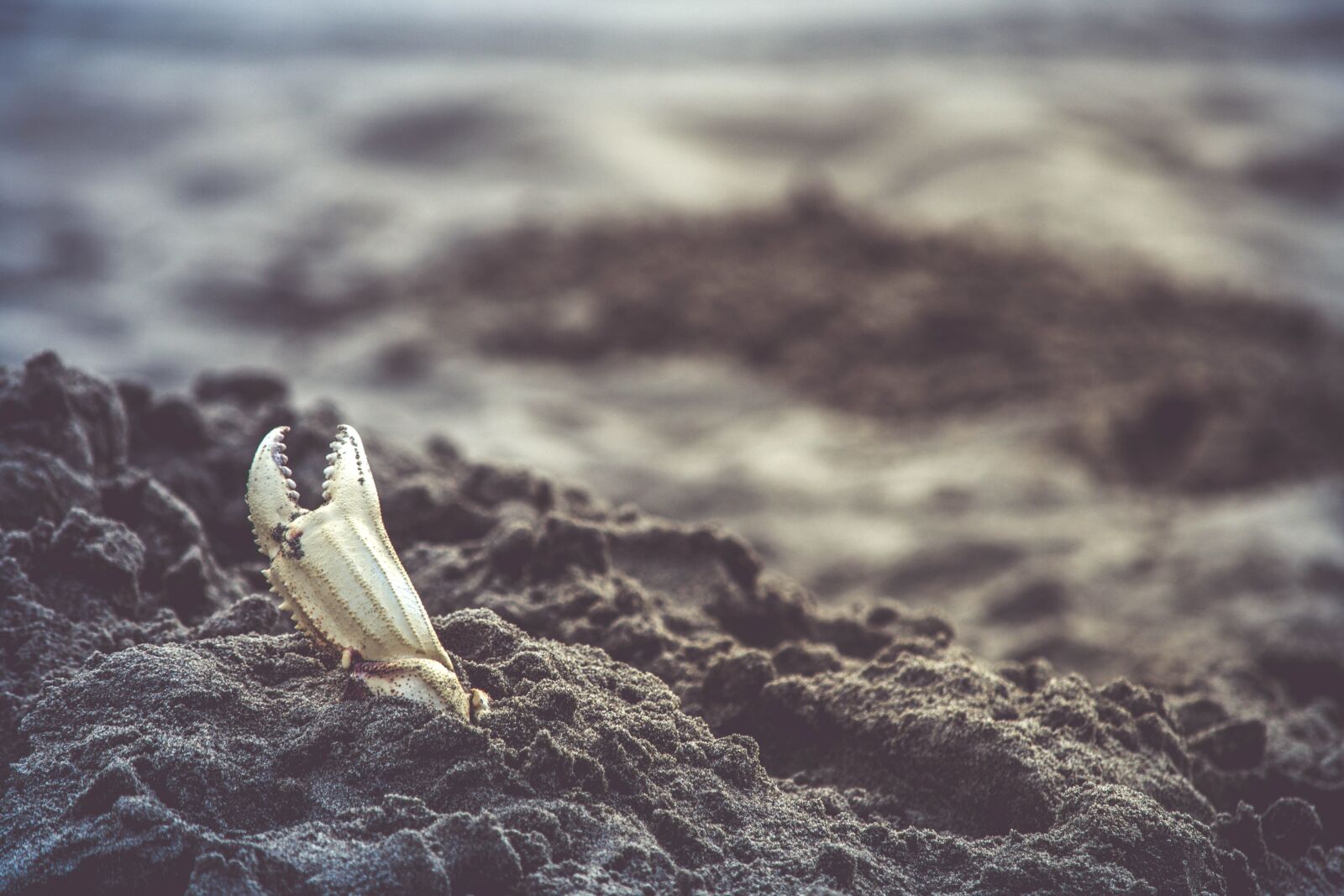 Nikon D5200 sample photo. Beach, water, sea, ocean photography