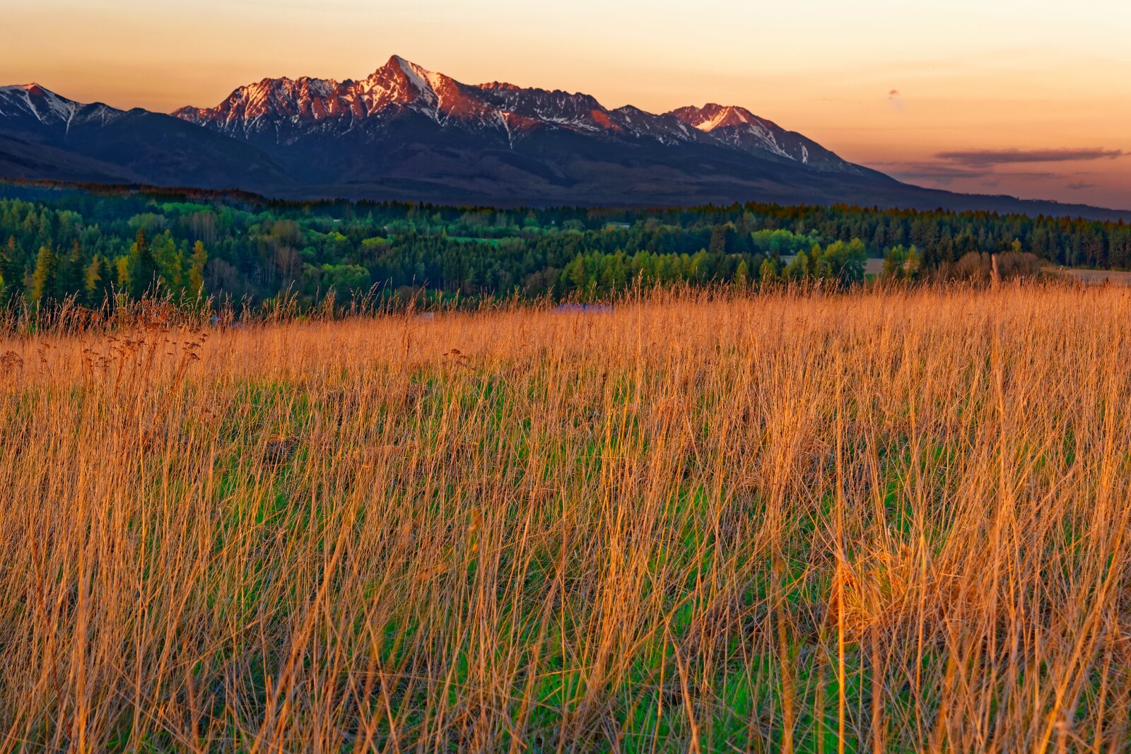 Nikon D3300 sample photo. Kriváň, mountains, the sky photography