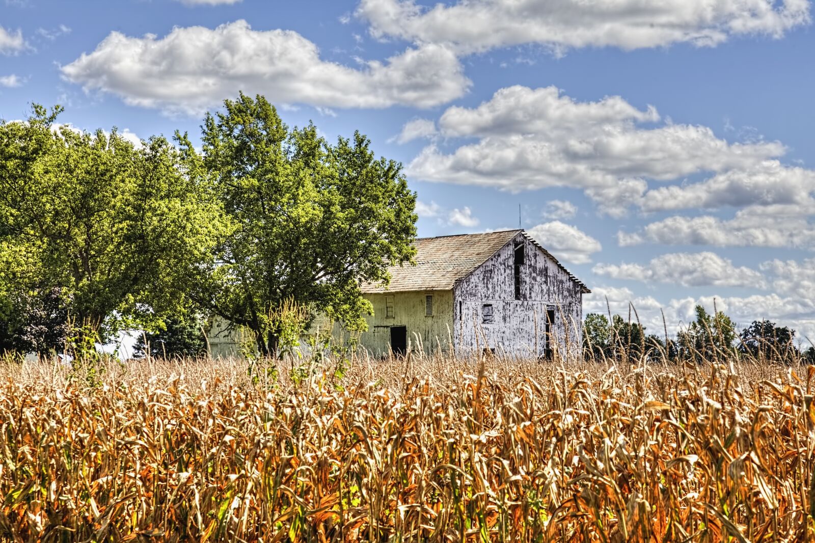 Canon EOS 5D Mark II sample photo. Barn, rustic, barns photography