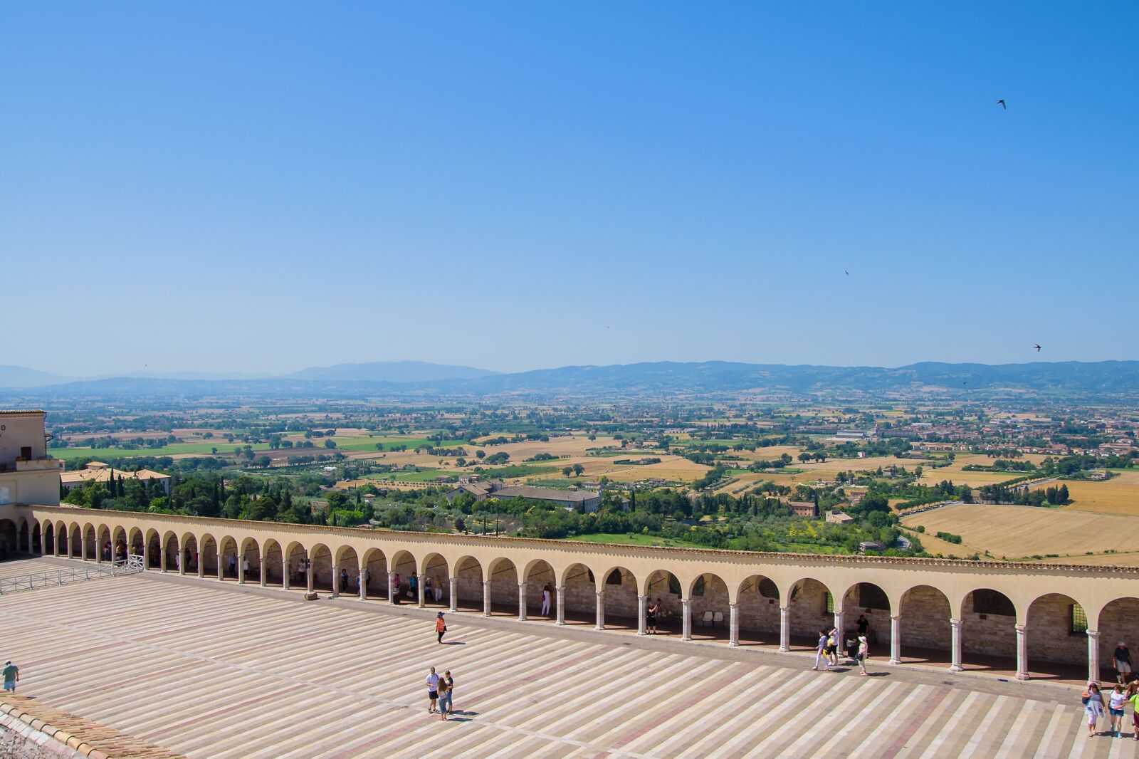 Nikon D750 sample photo. Assisi, asiz, square photography