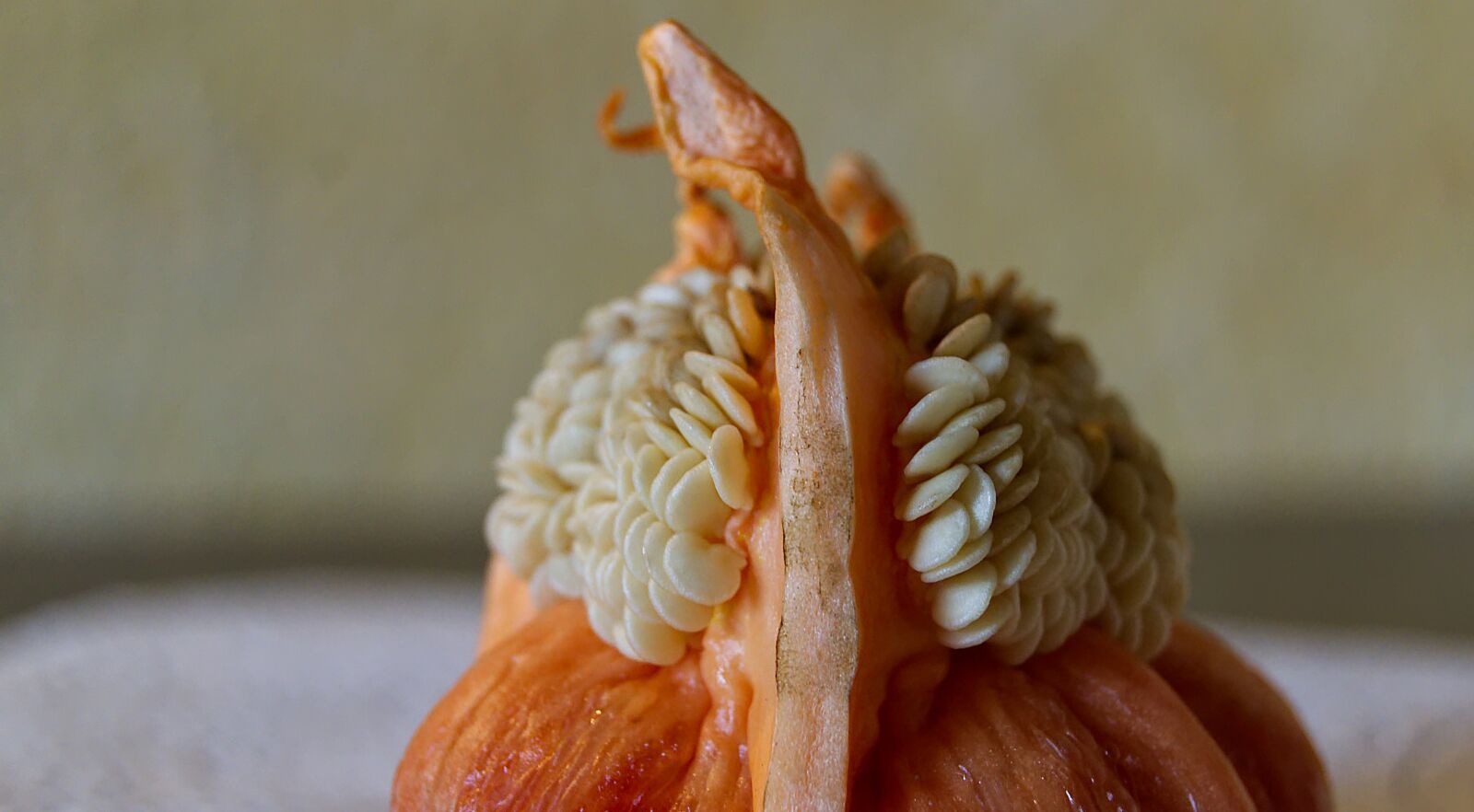 Nikon D3100 sample photo. Paprika, cores, vegetables photography