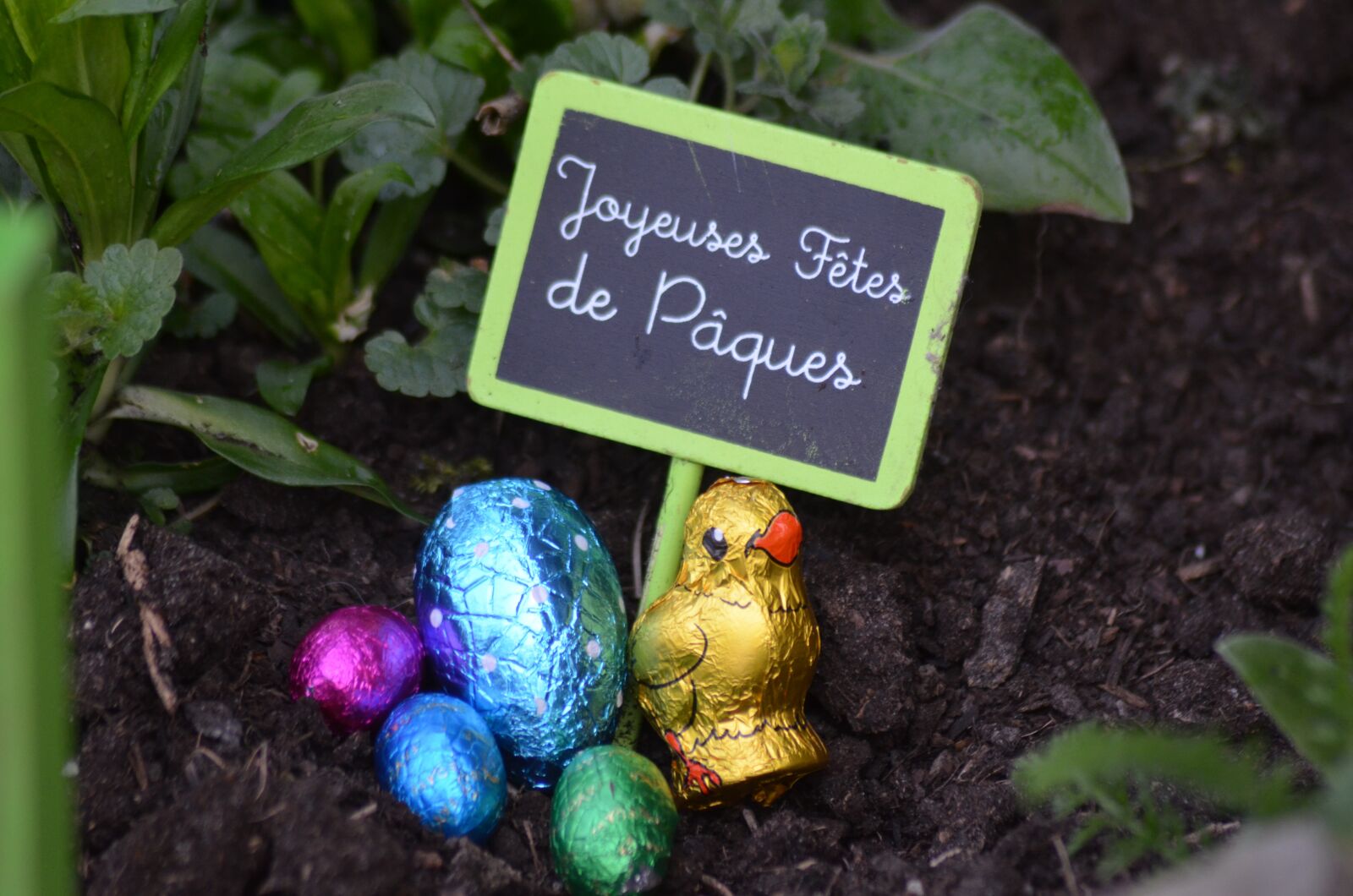 Nikon D5100 sample photo. Easter, chocolate easter, chocolate photography