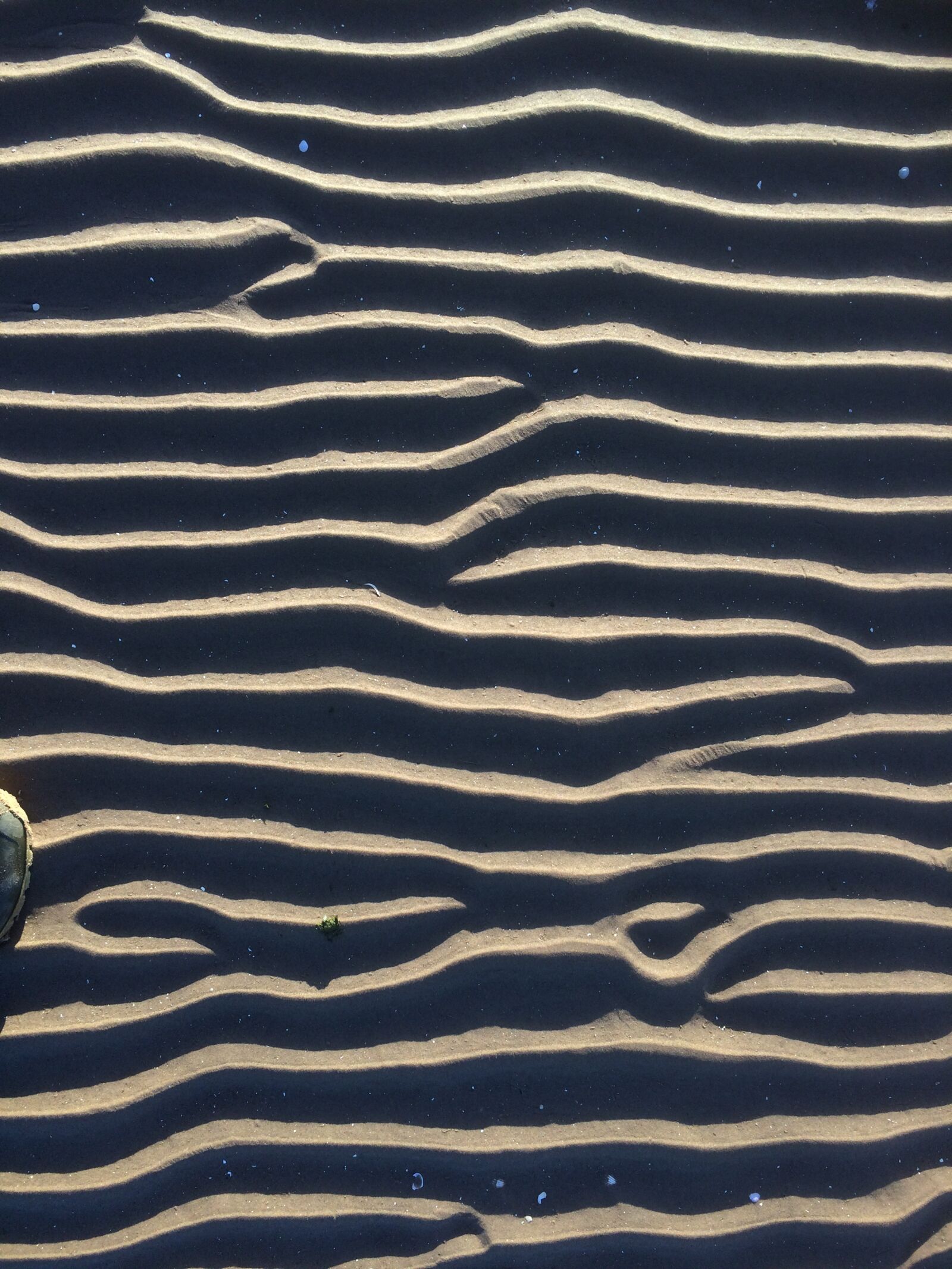 iPhone 5s back camera 4.15mm f/2.2 sample photo. Pattern, sand, natural photography