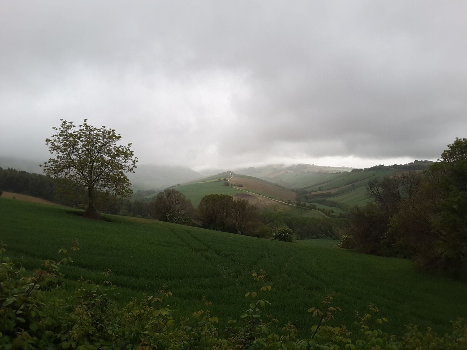 Samsung Galaxy Tab S2 sample photo. Moresco, firm, brands photography